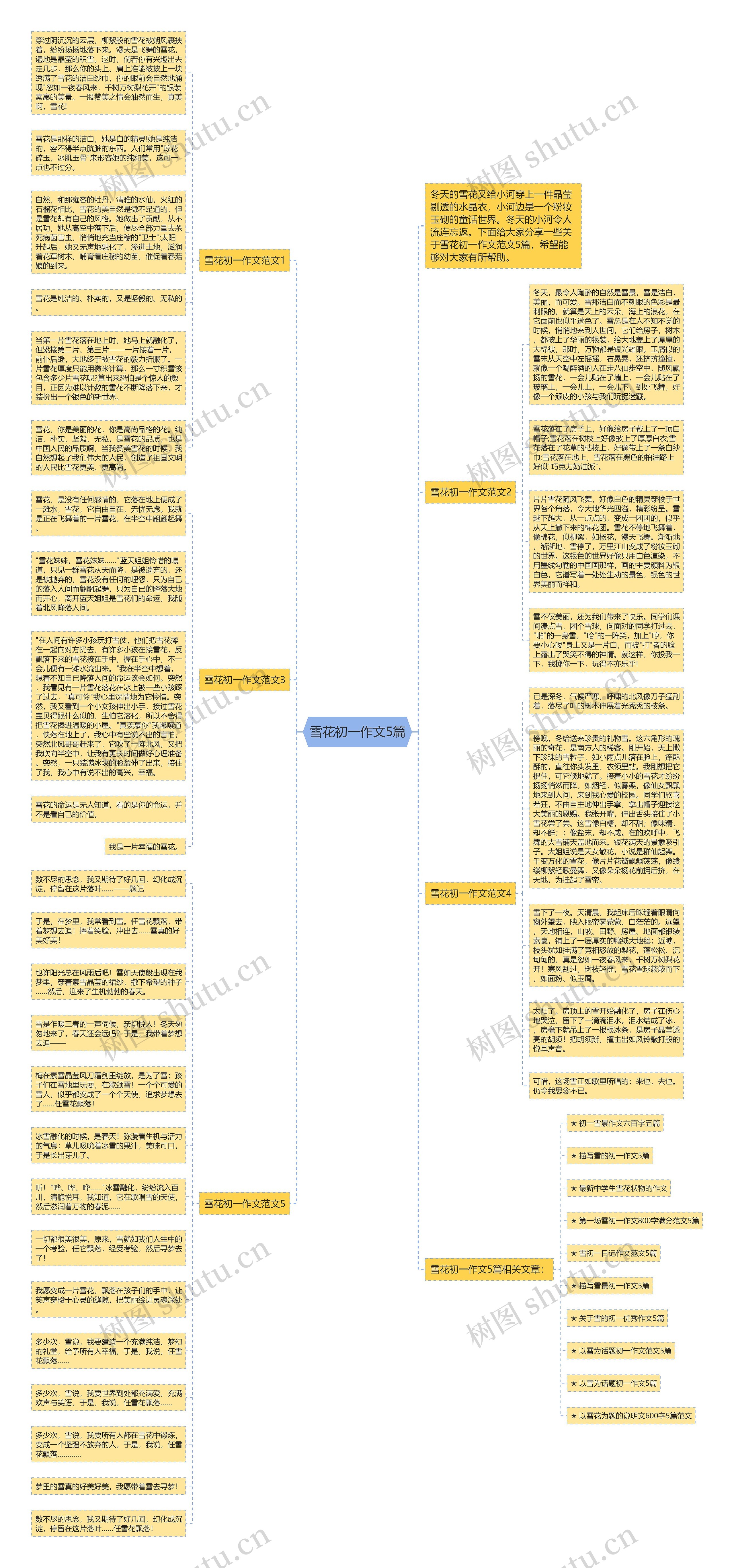 雪花初一作文5篇思维导图