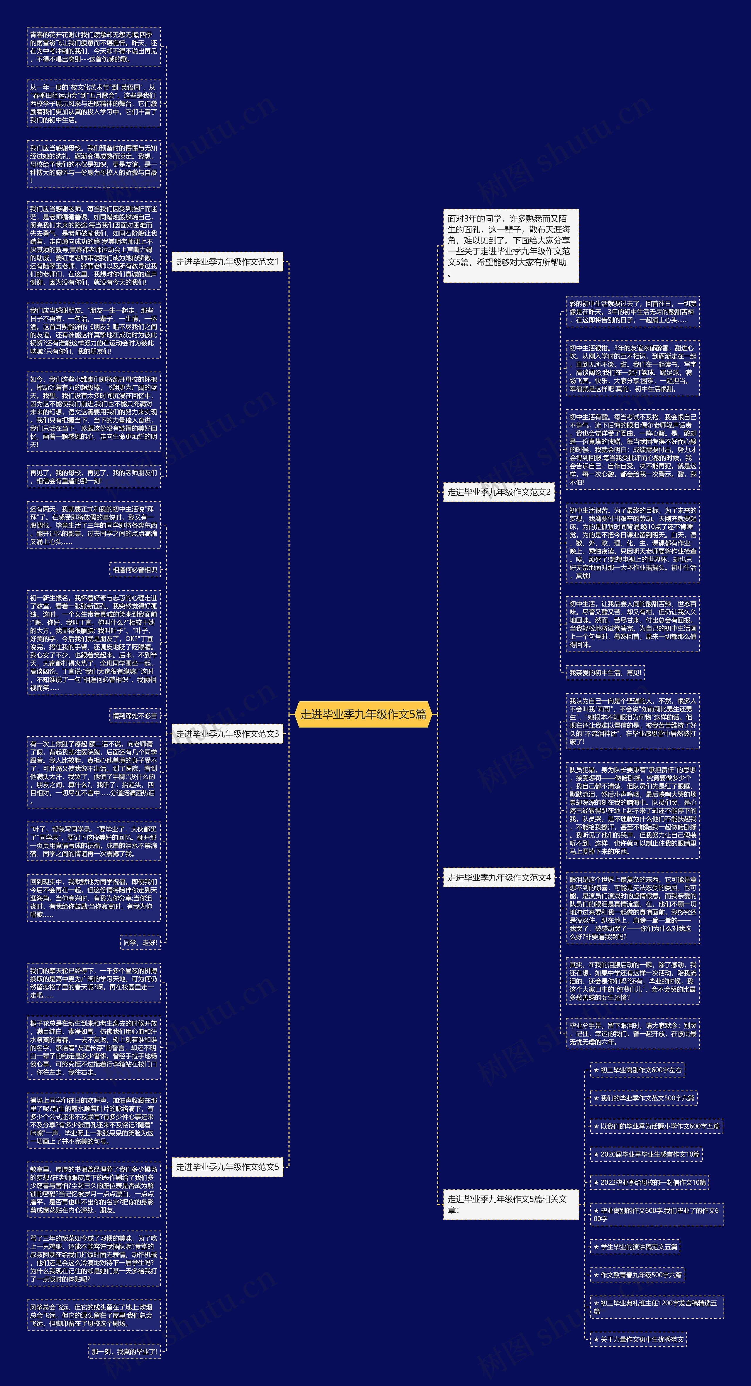 走进毕业季九年级作文5篇思维导图