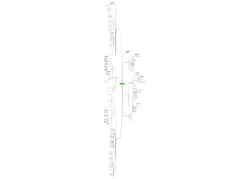 数学教学基础工作任务计划