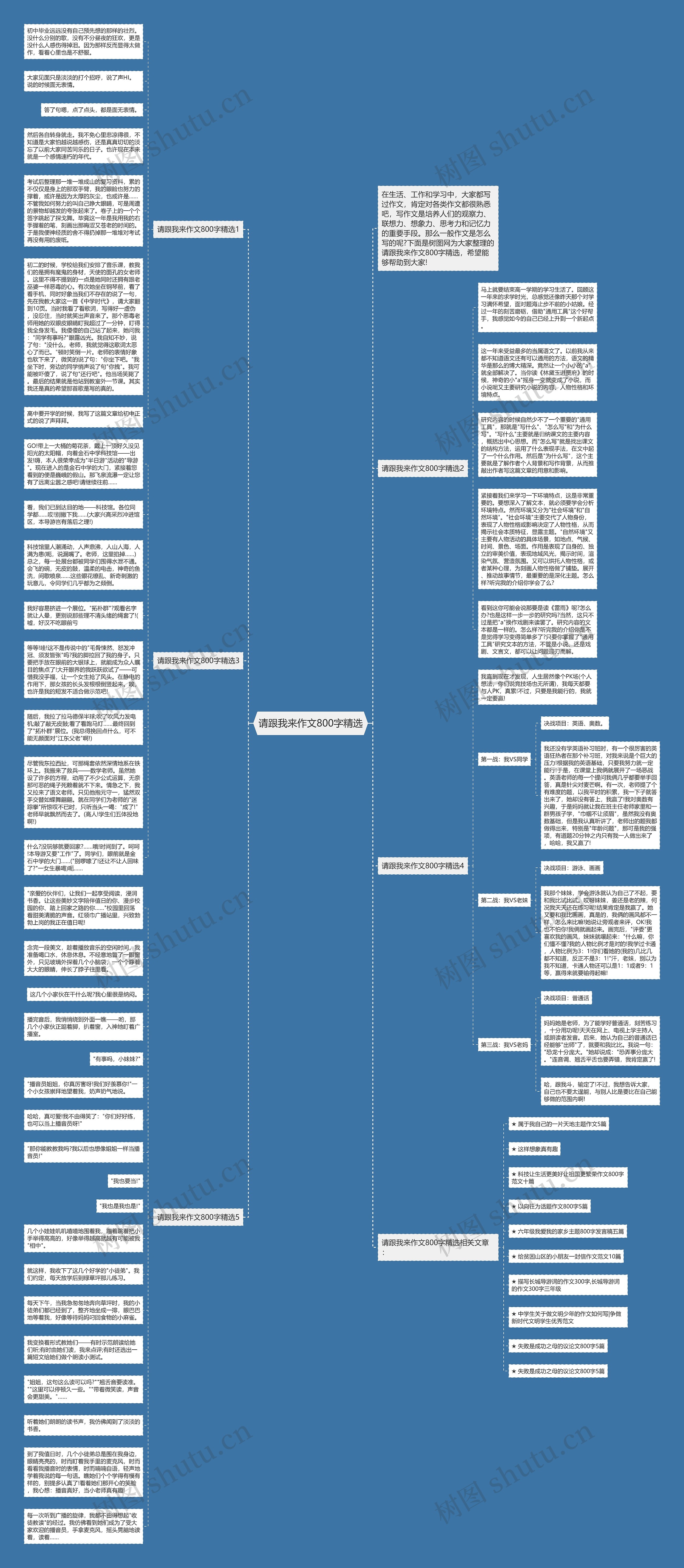 请跟我来作文800字精选思维导图