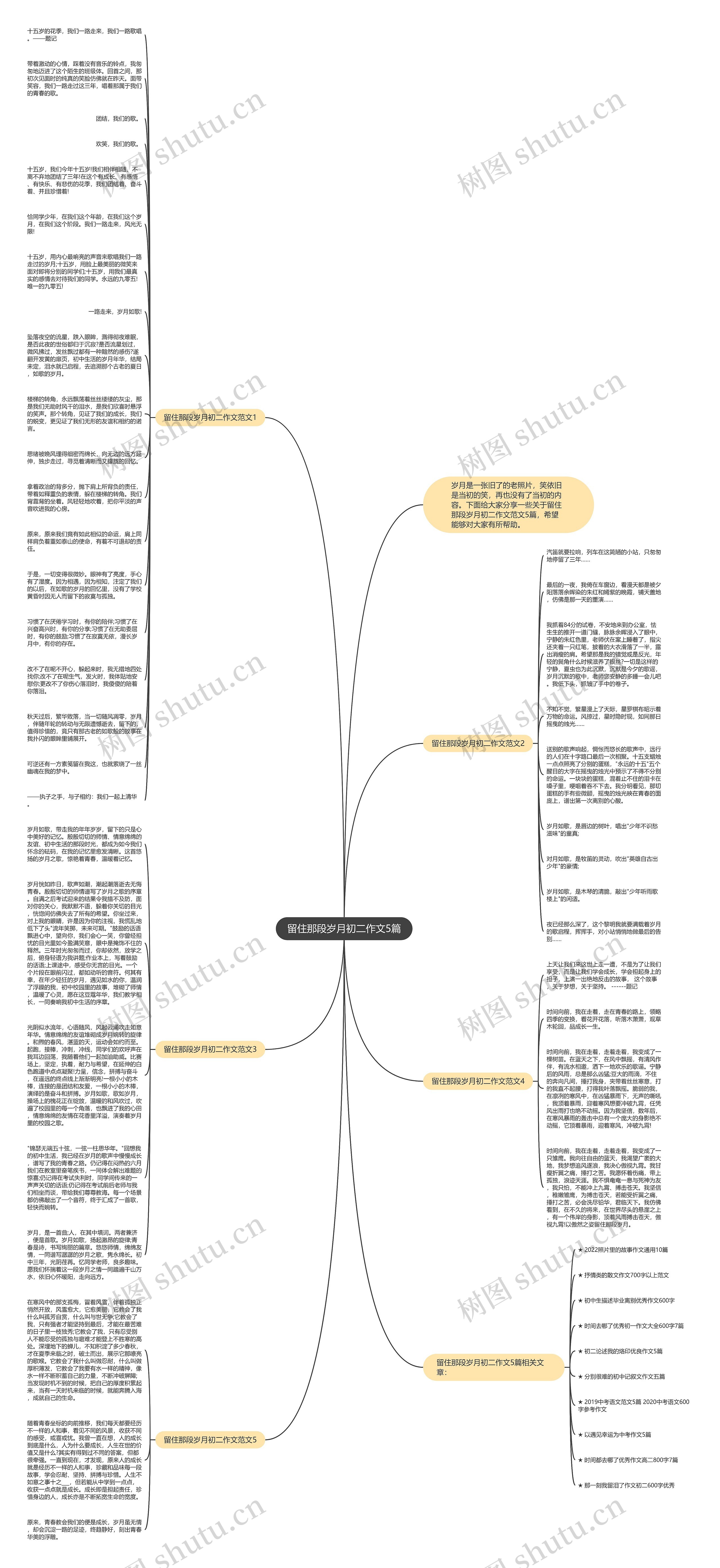 留住那段岁月初二作文5篇思维导图