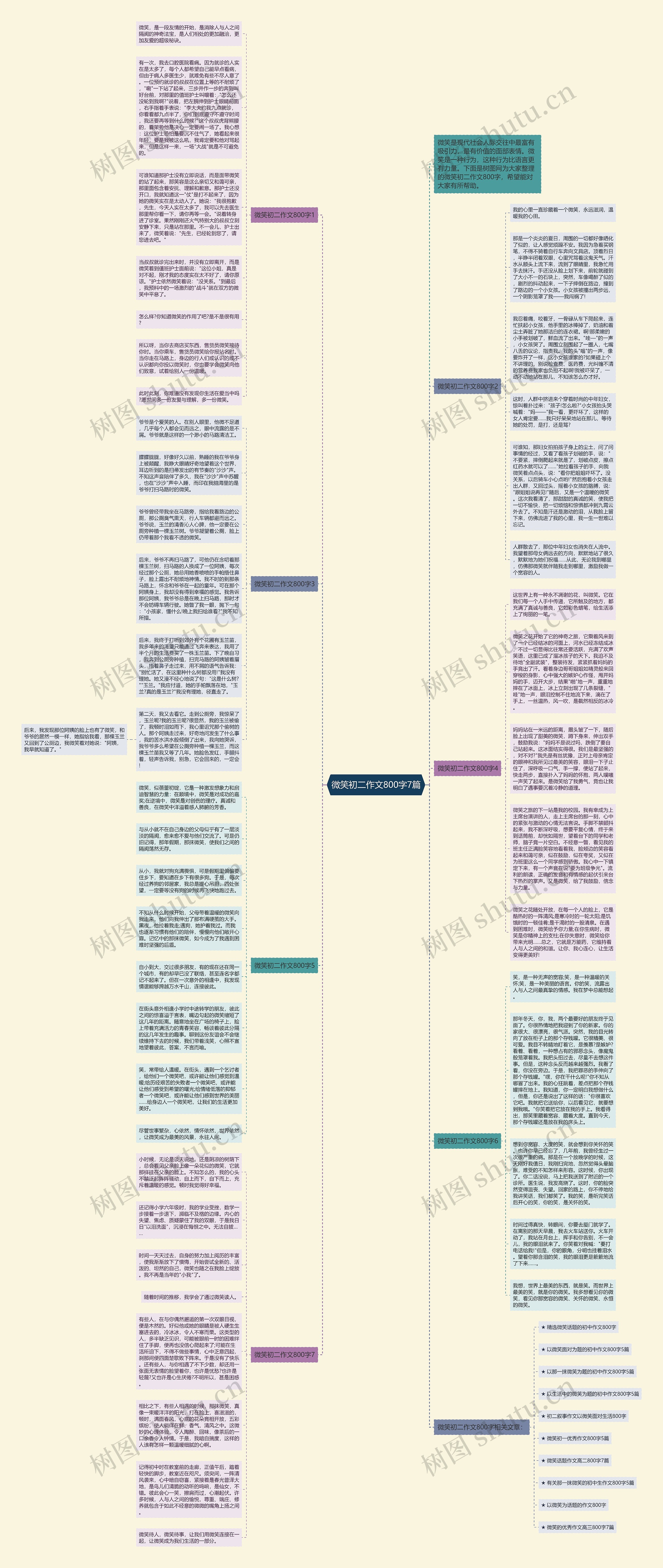 微笑初二作文800字7篇思维导图