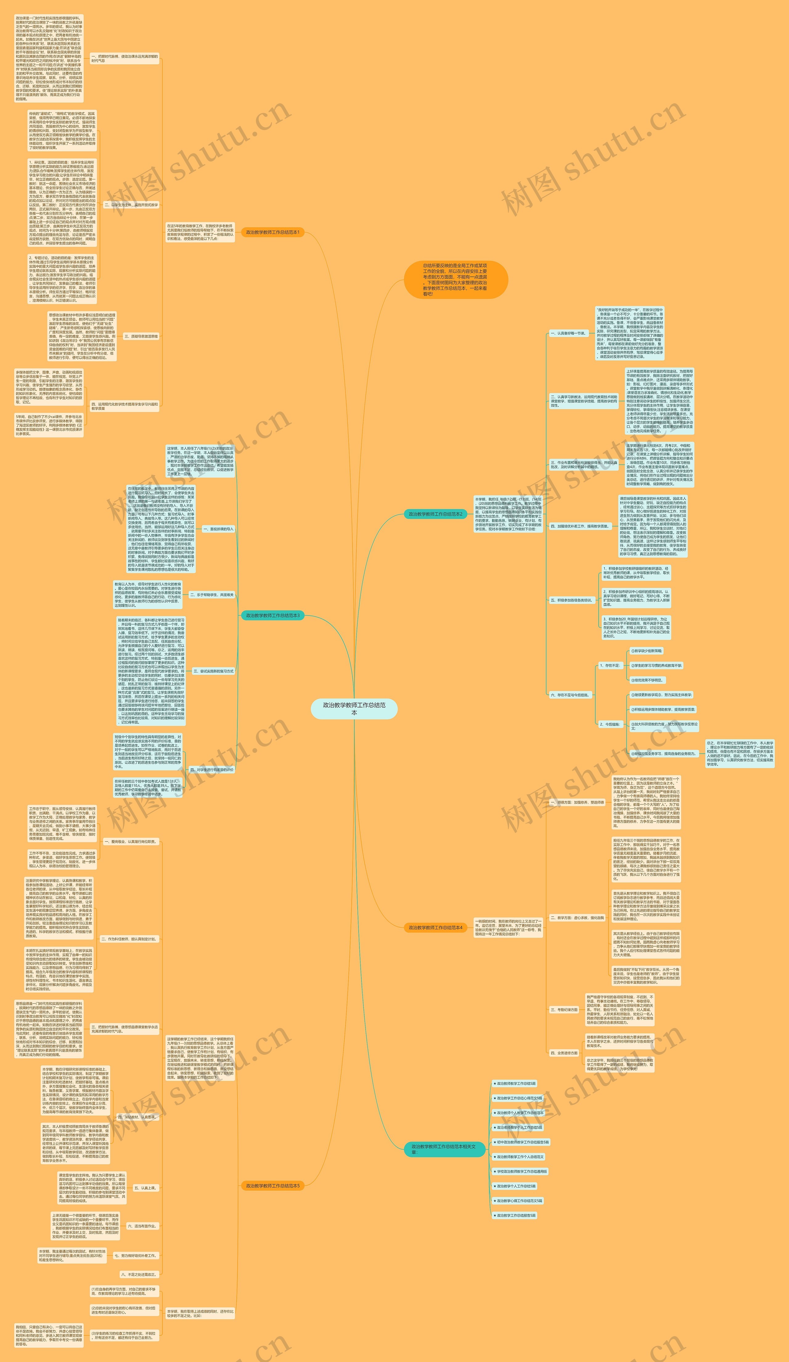 政治教学教师工作总结范本思维导图