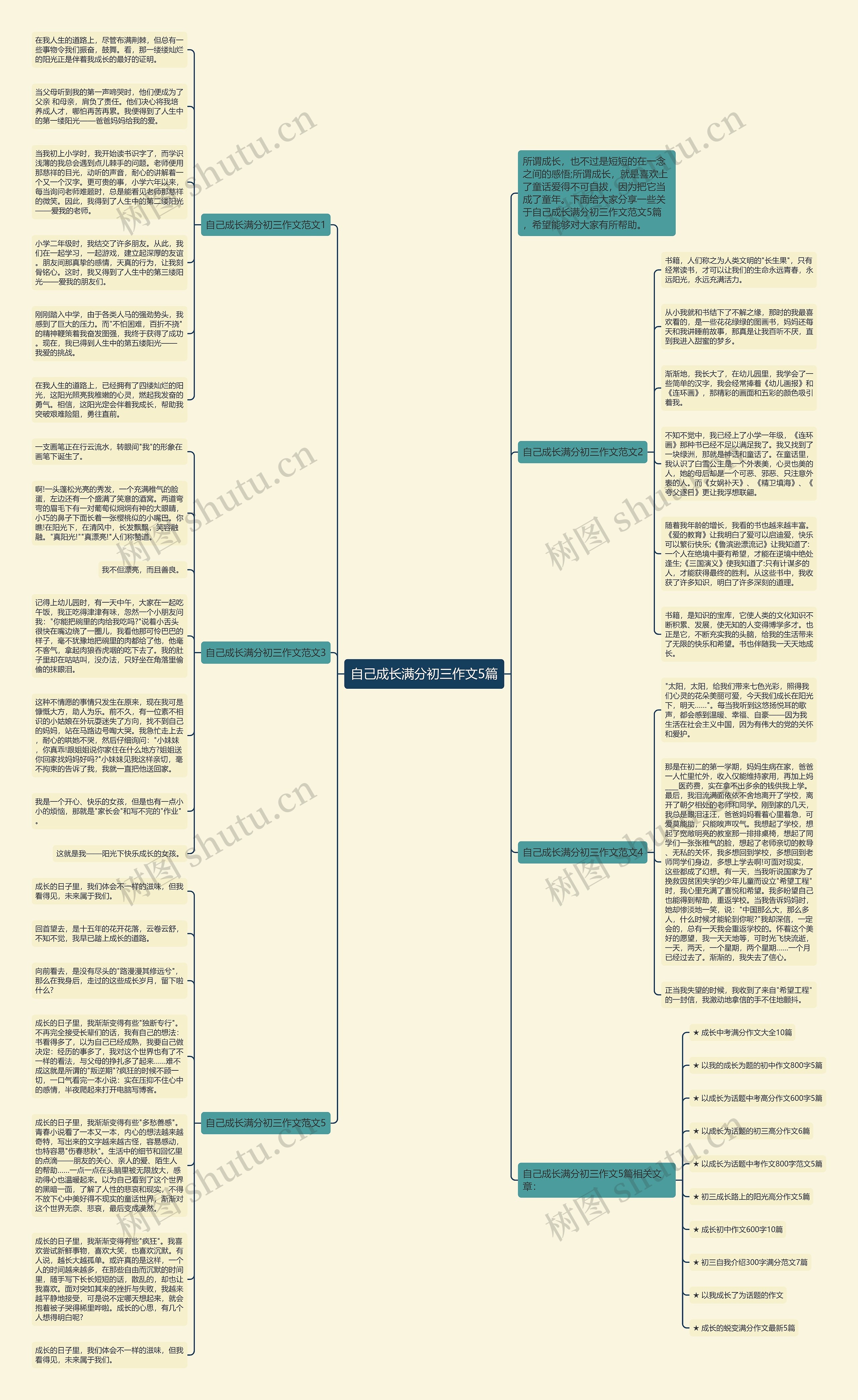 自己成长满分初三作文5篇思维导图
