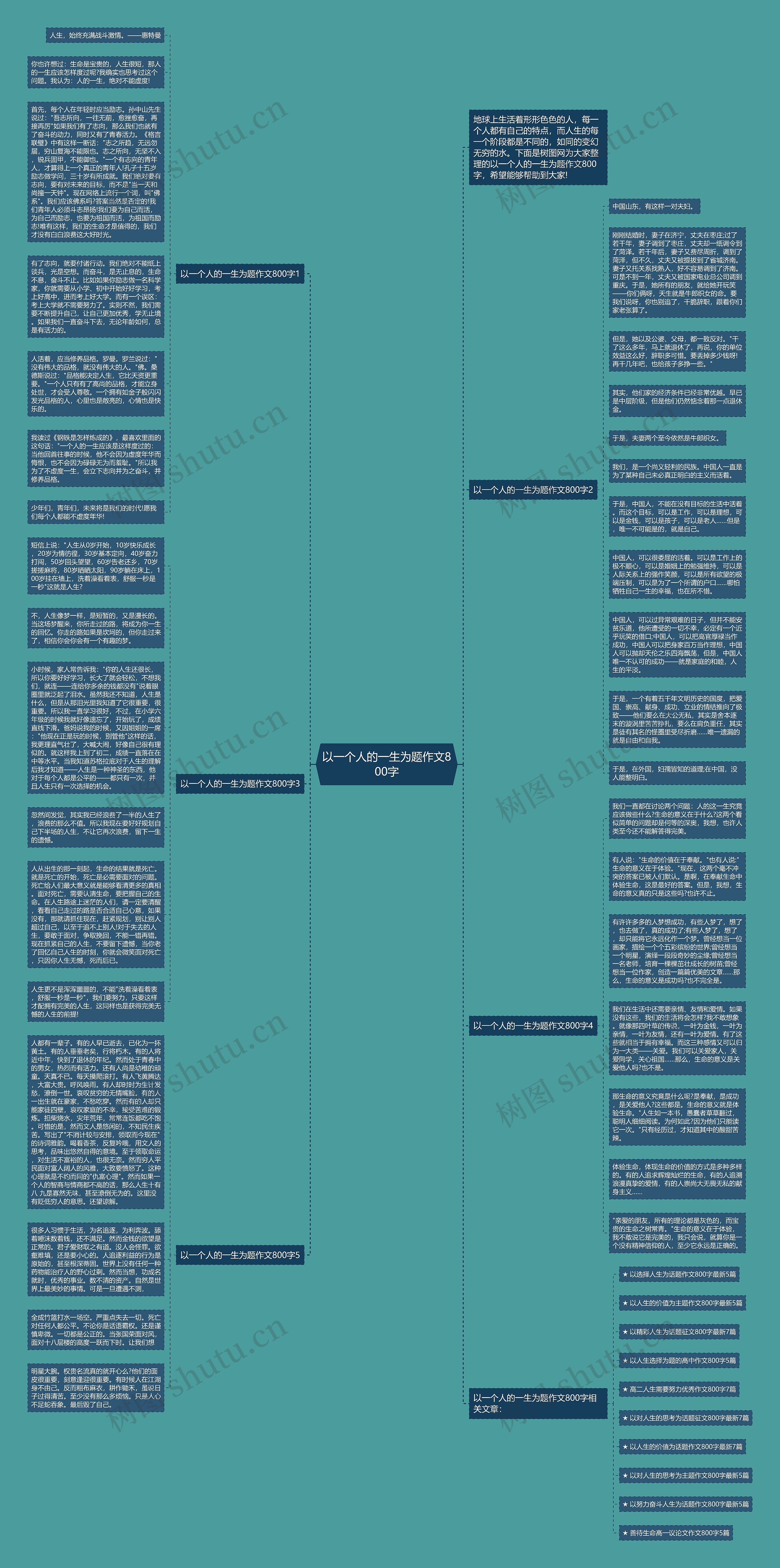以一个人的一生为题作文800字思维导图