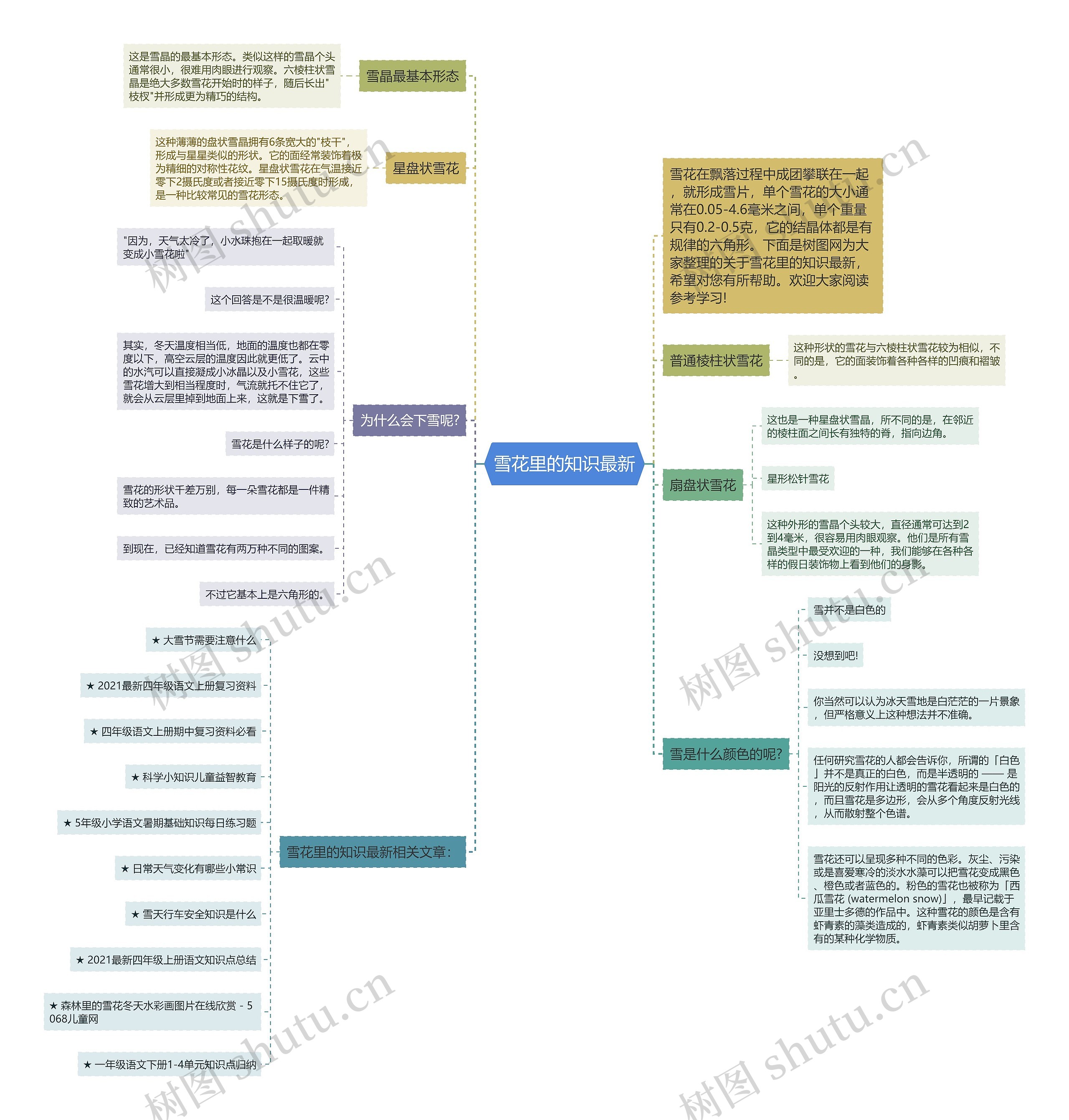 雪花里的知识最新思维导图