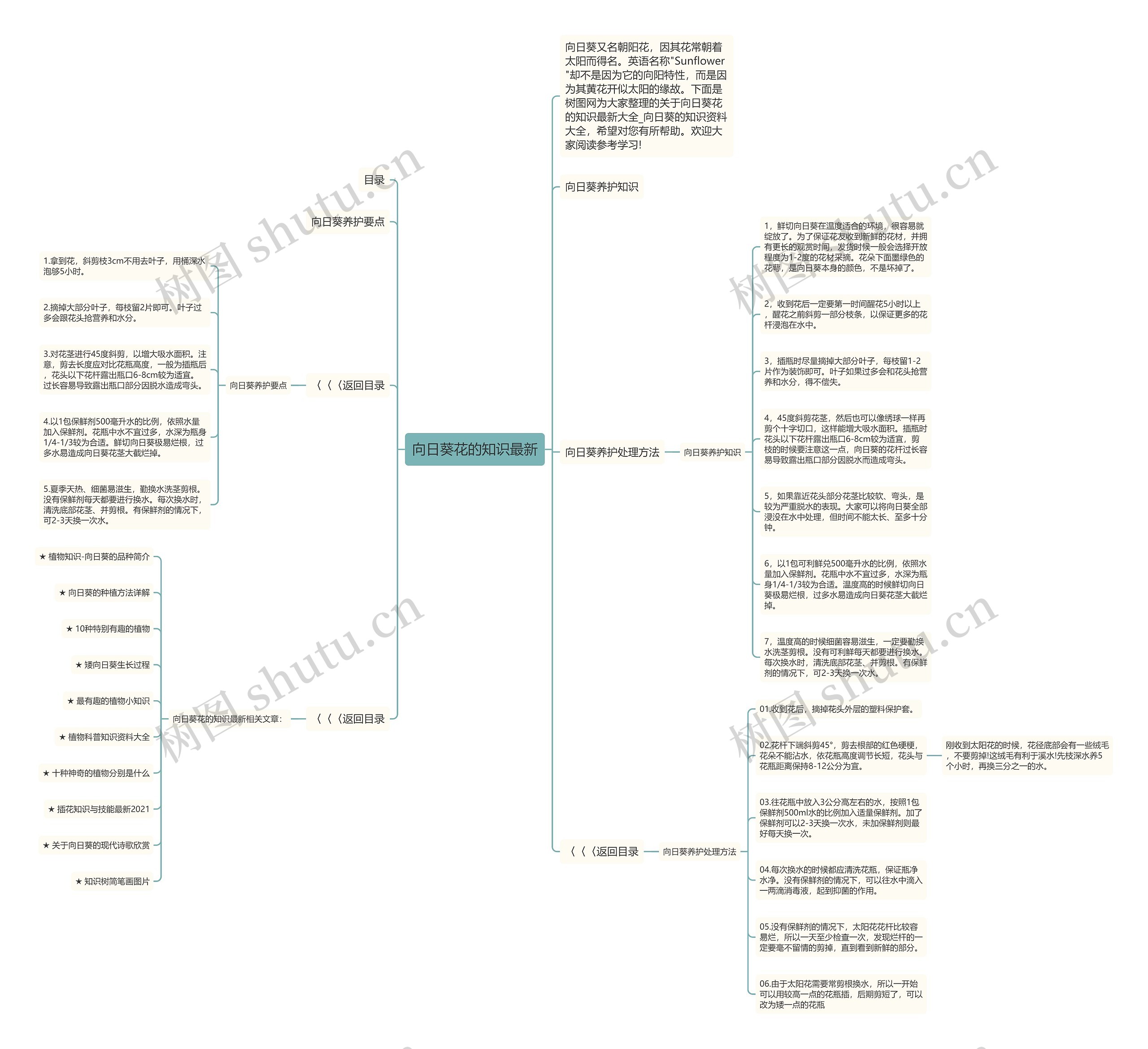 向日葵花的知识最新思维导图