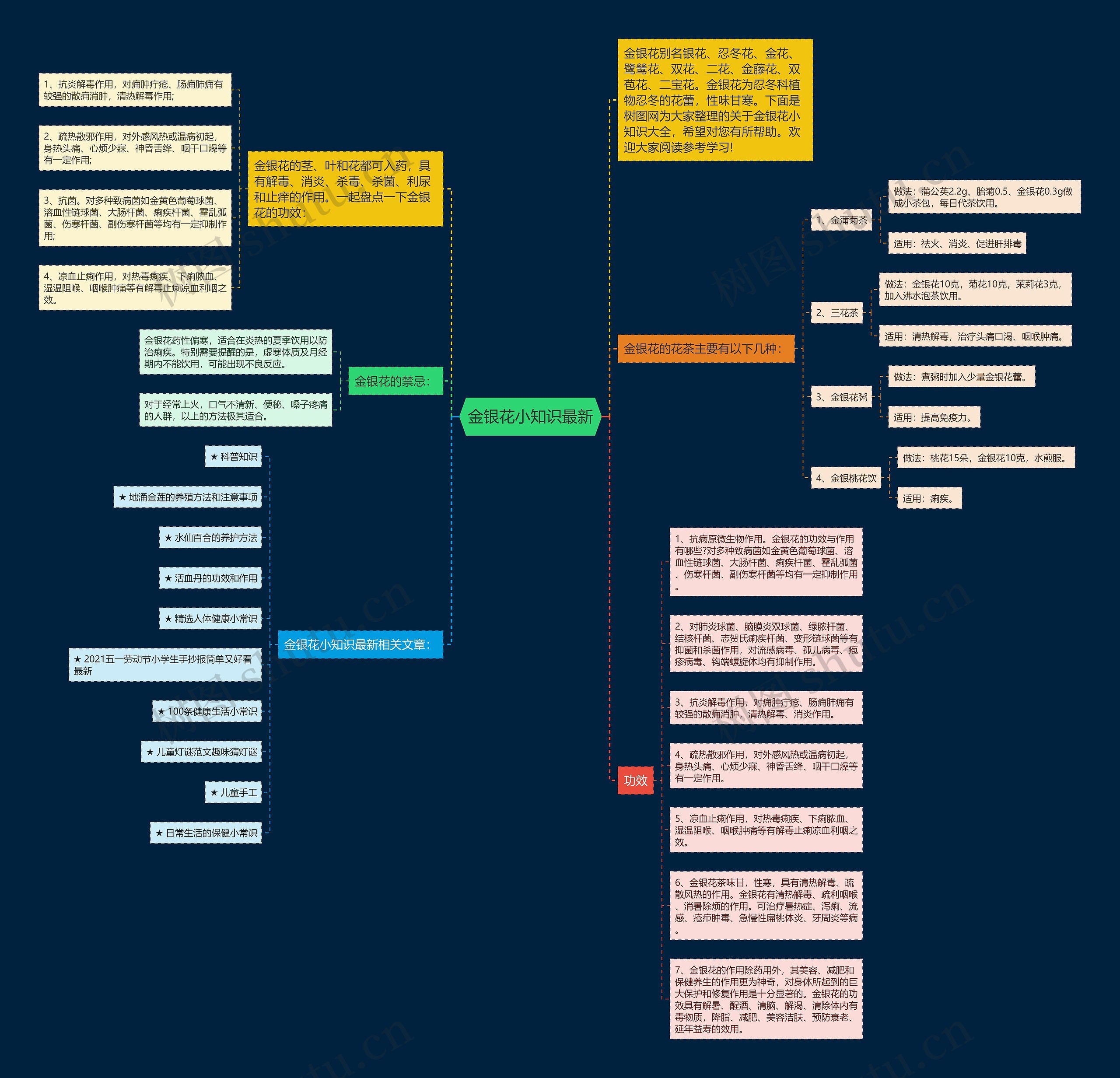 金银花小知识最新思维导图