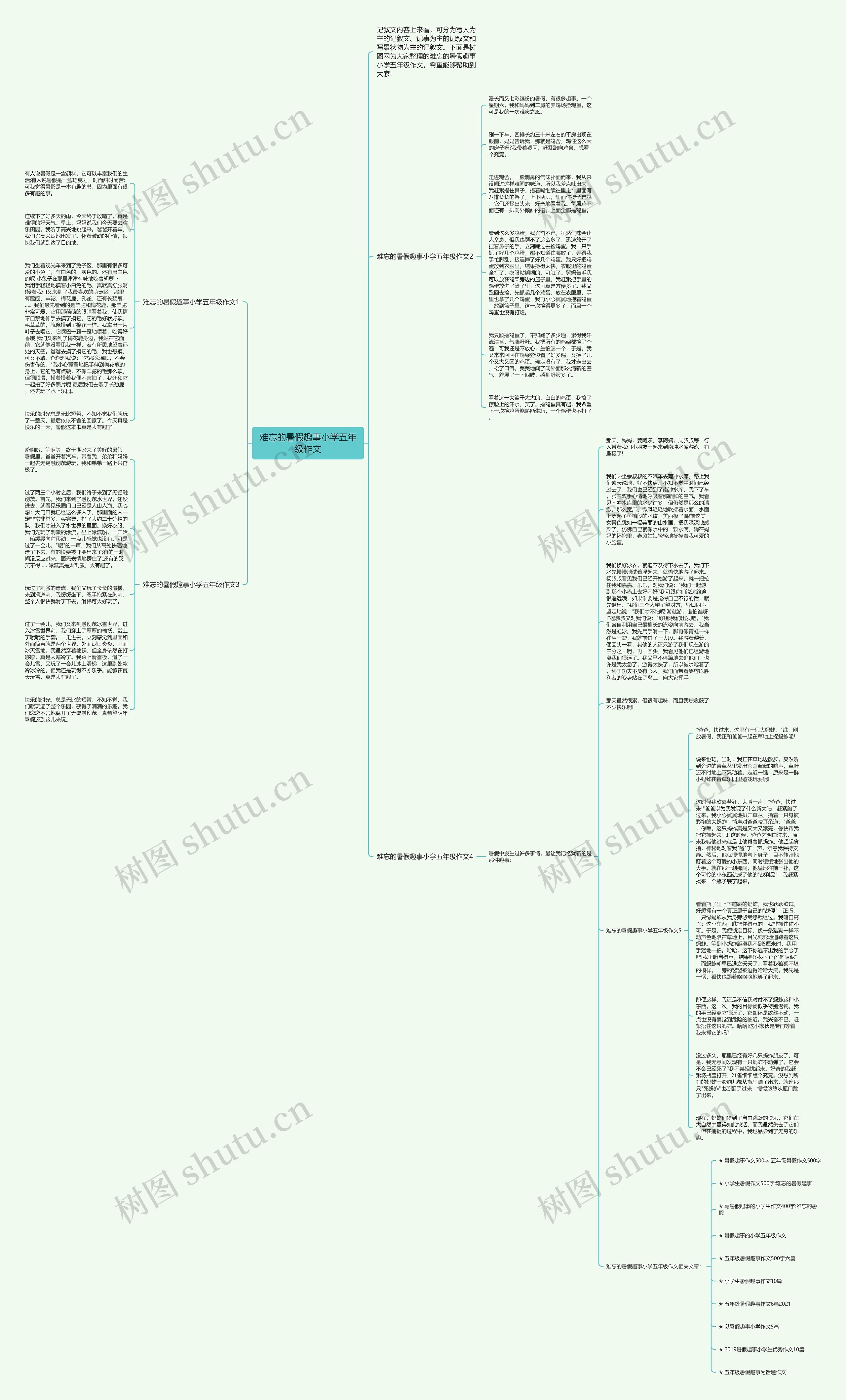 难忘的暑假趣事小学五年级作文思维导图