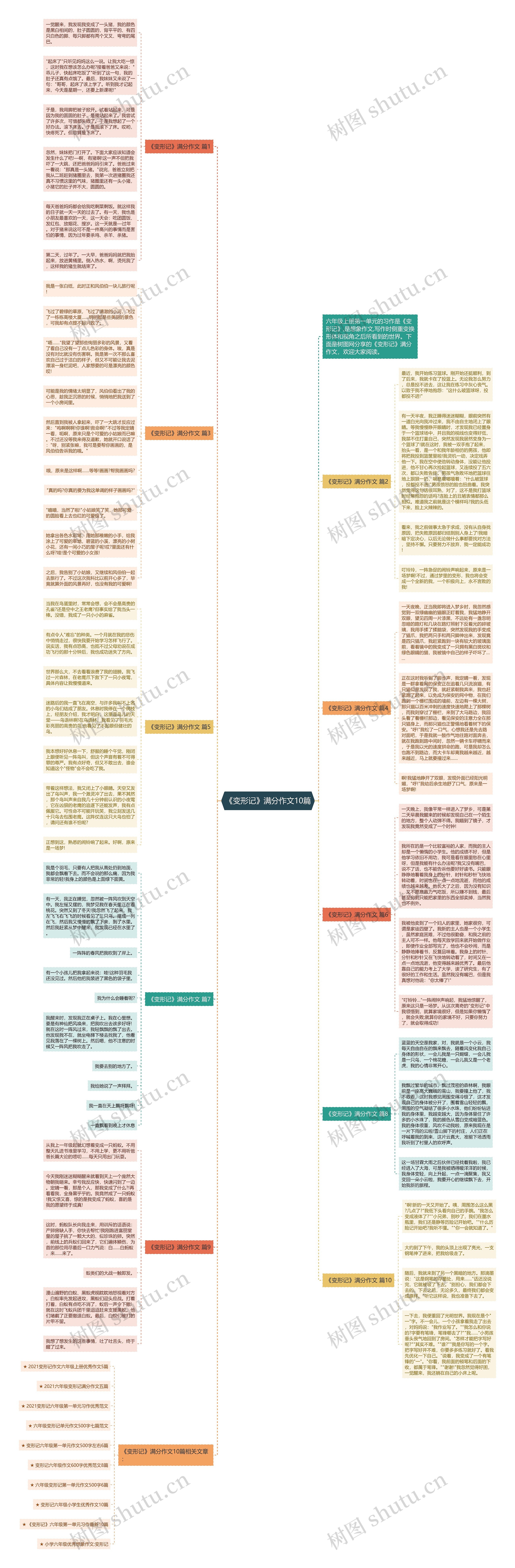 《变形记》满分作文10篇思维导图