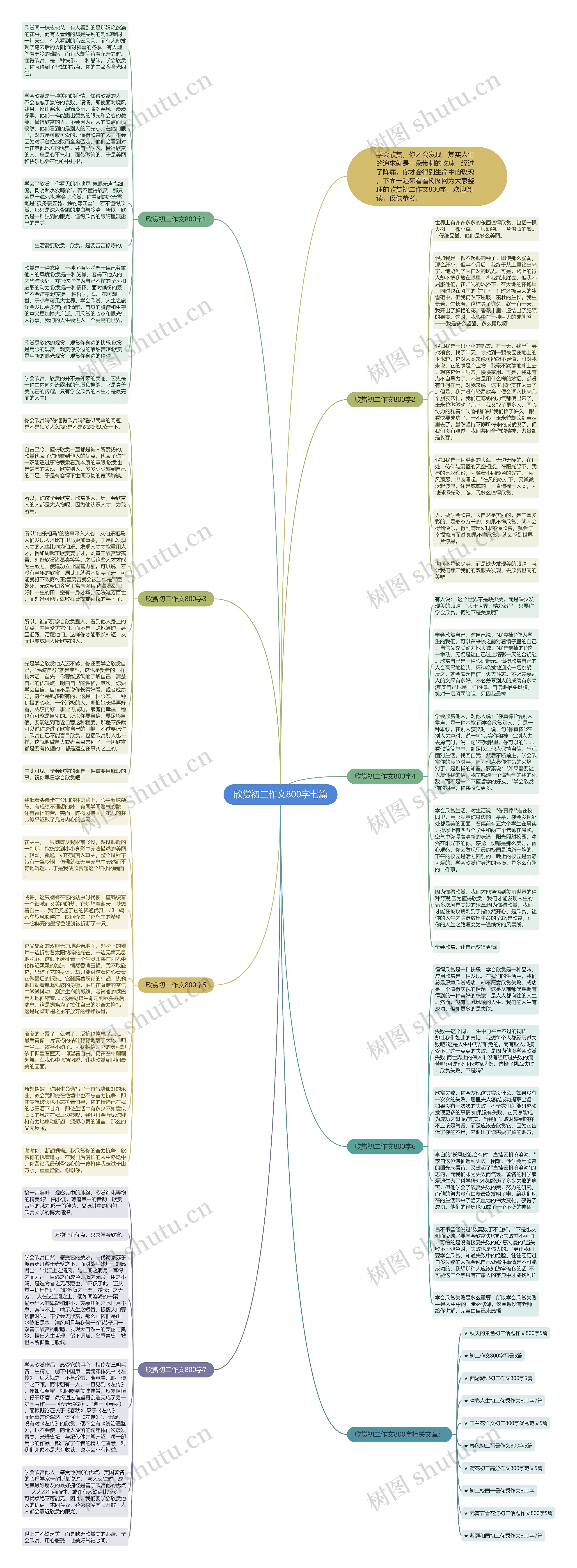 欣赏初二作文800字七篇思维导图