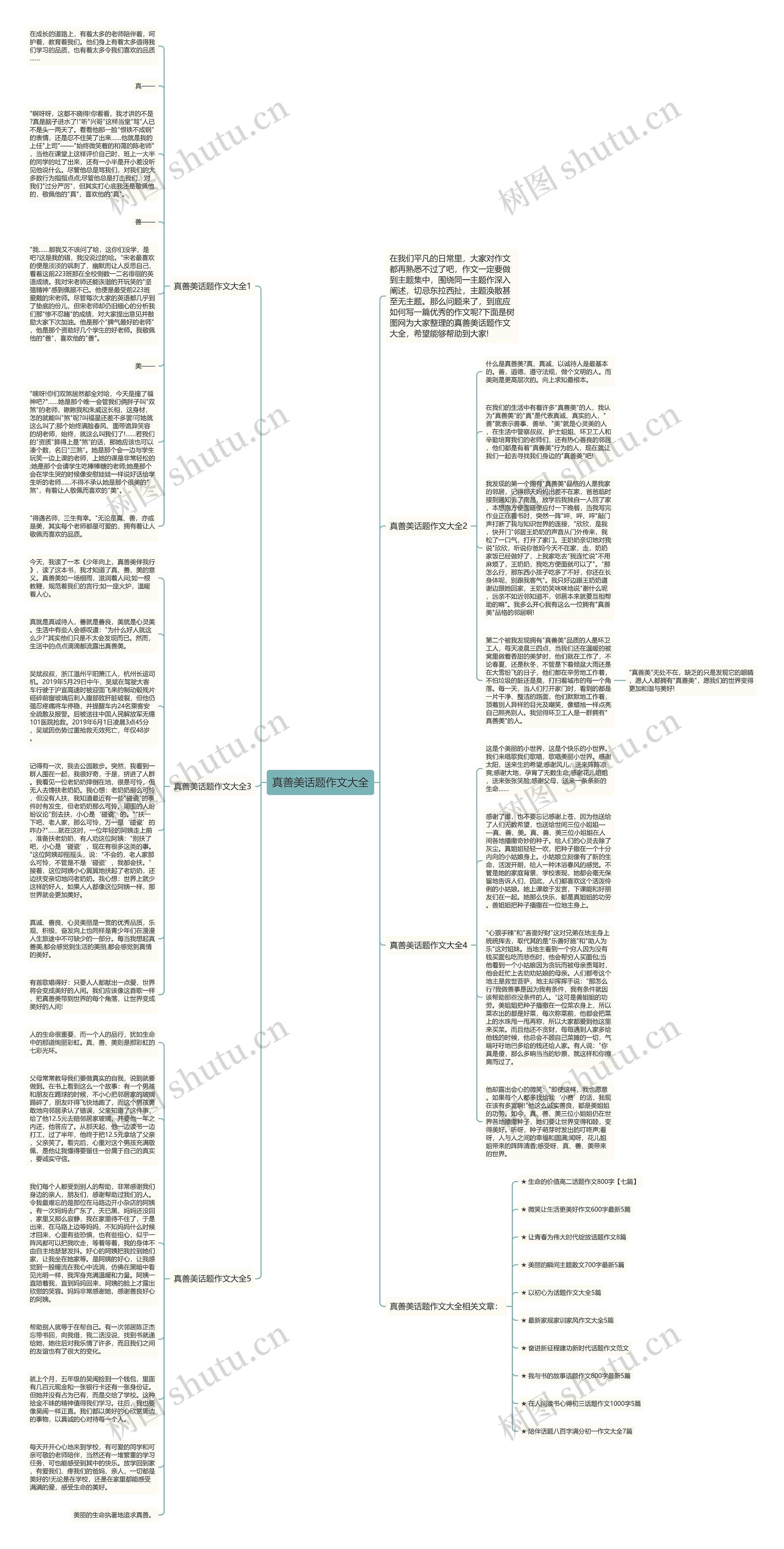 真善美话题作文大全思维导图