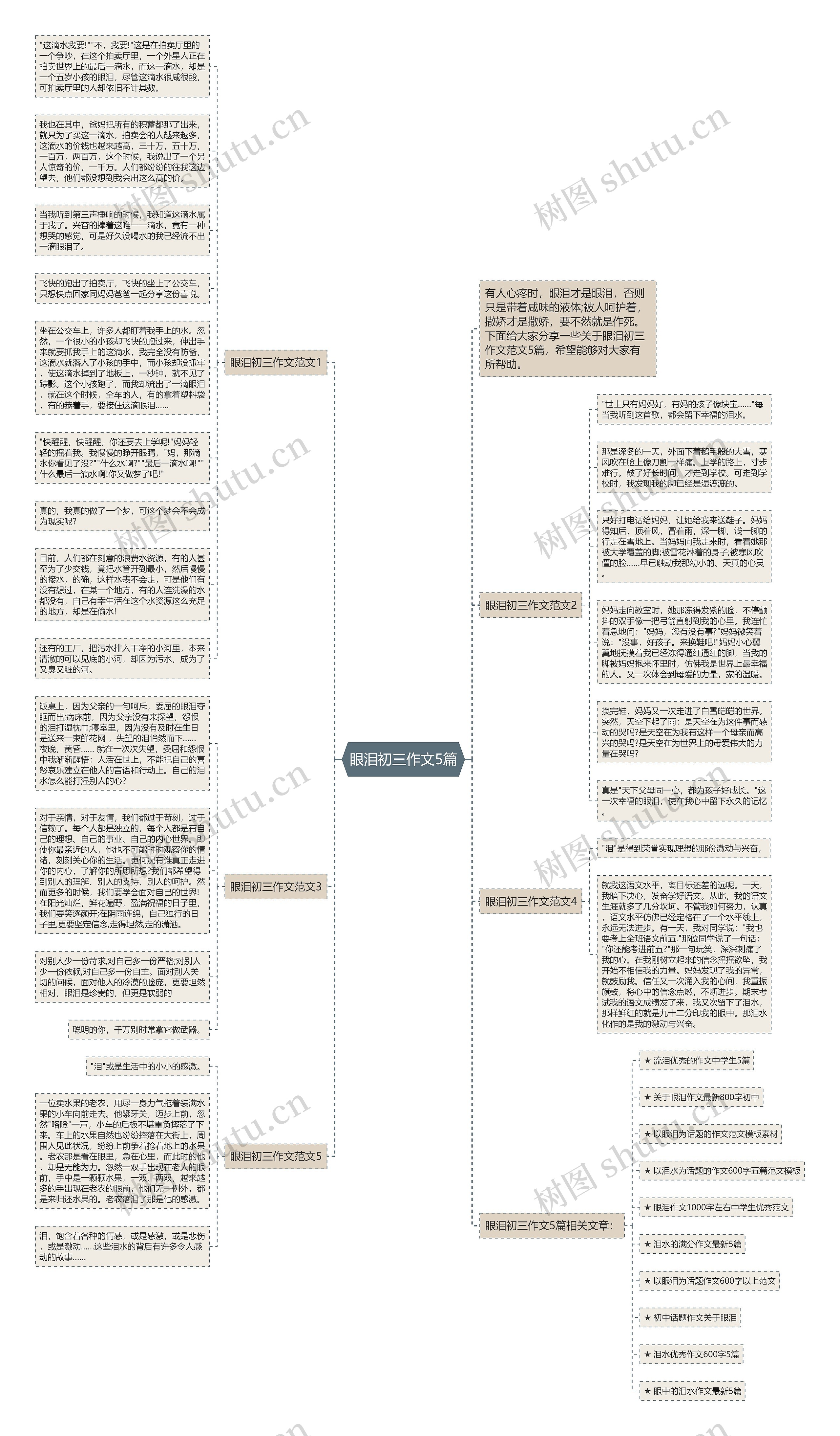 眼泪初三作文5篇思维导图