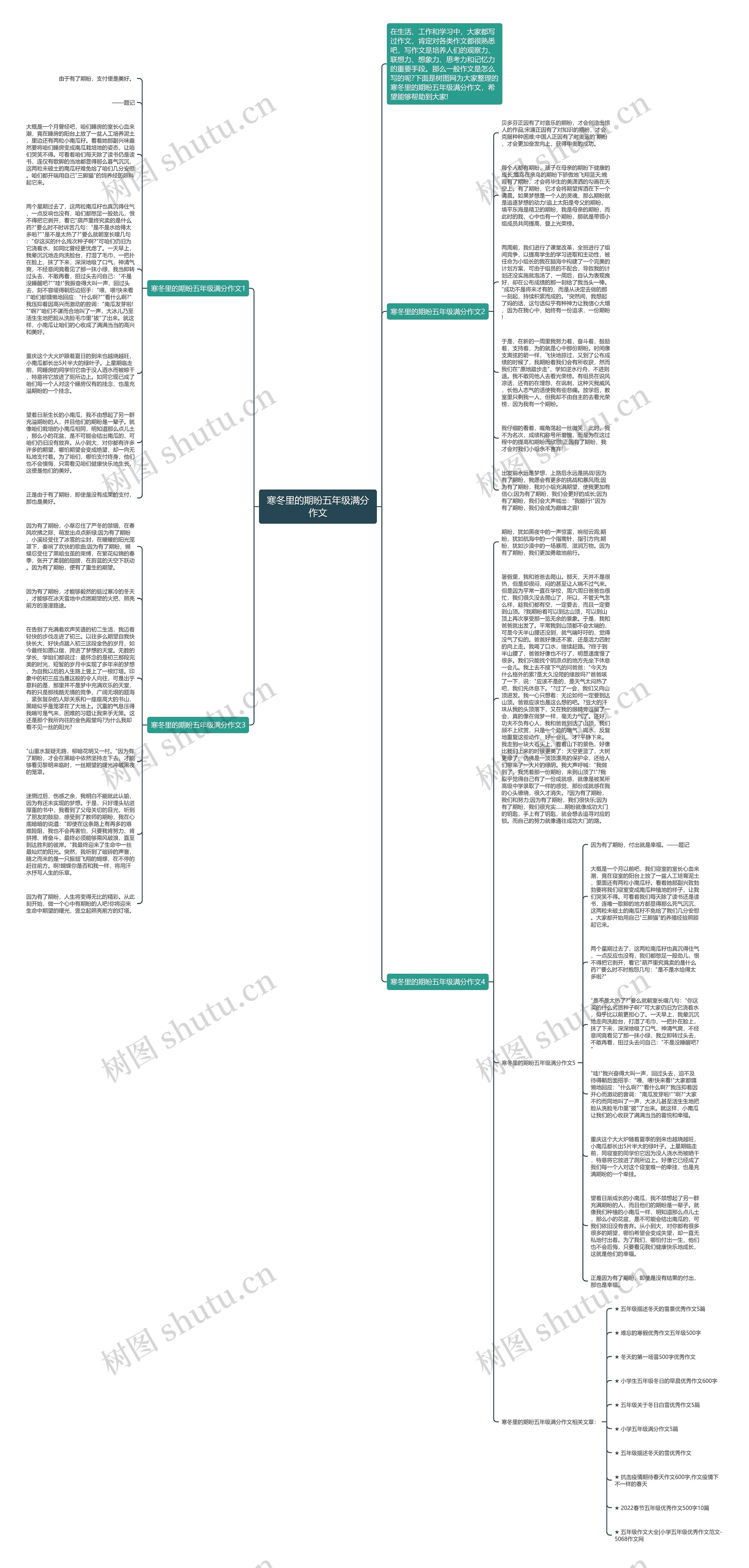 寒冬里的期盼五年级满分作文思维导图