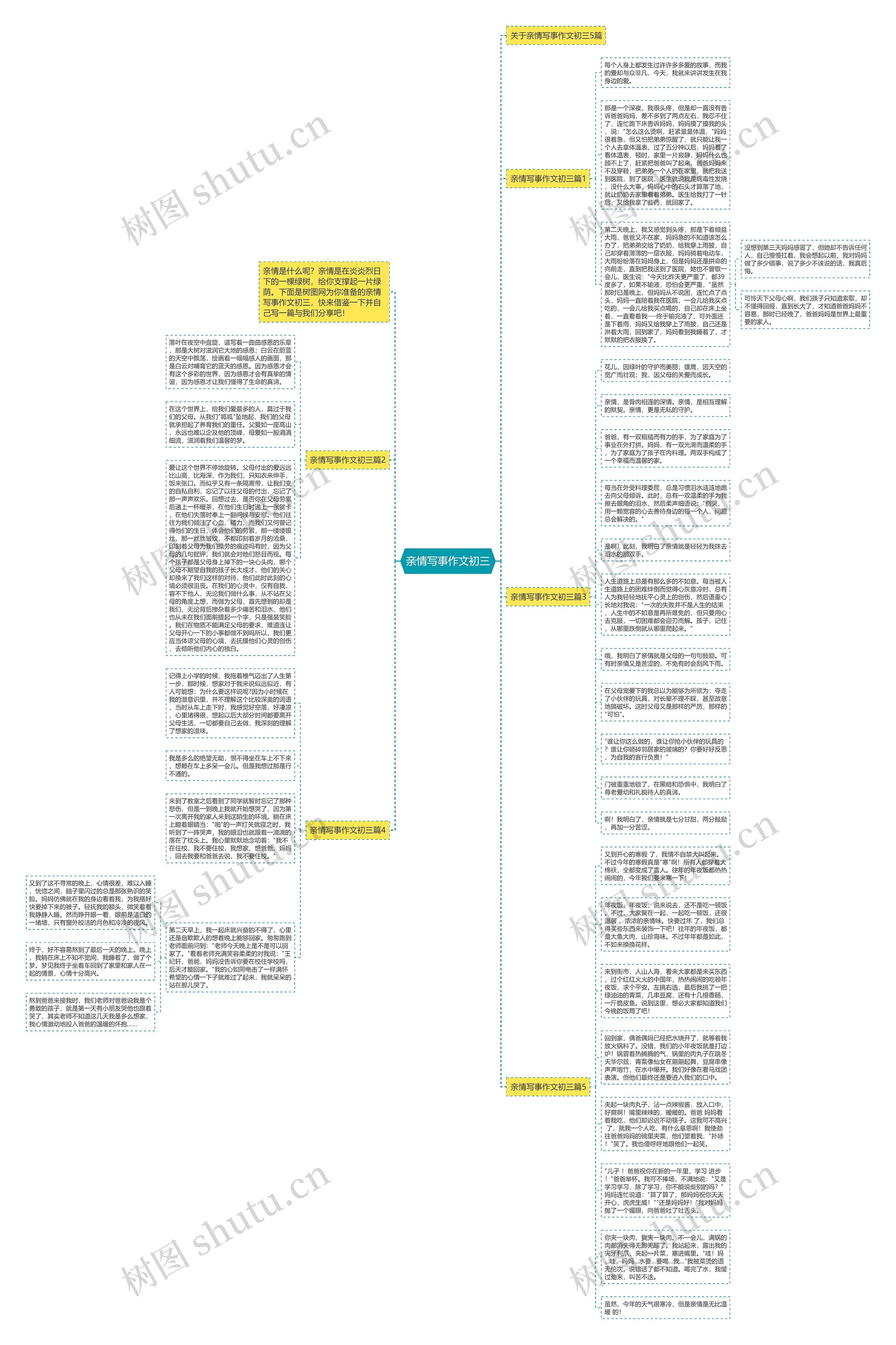 亲情写事作文初三思维导图
