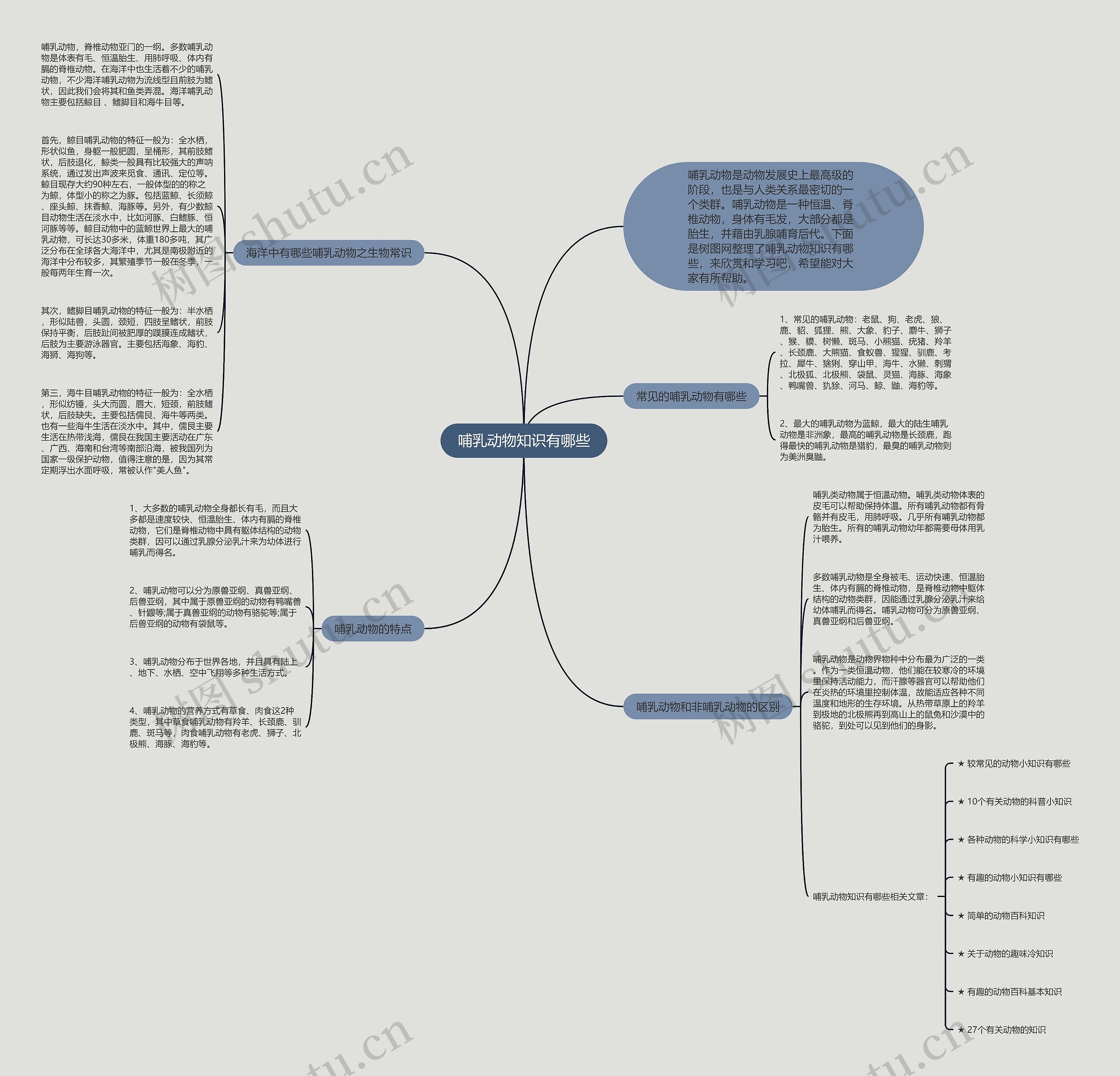 哺乳动物知识有哪些思维导图