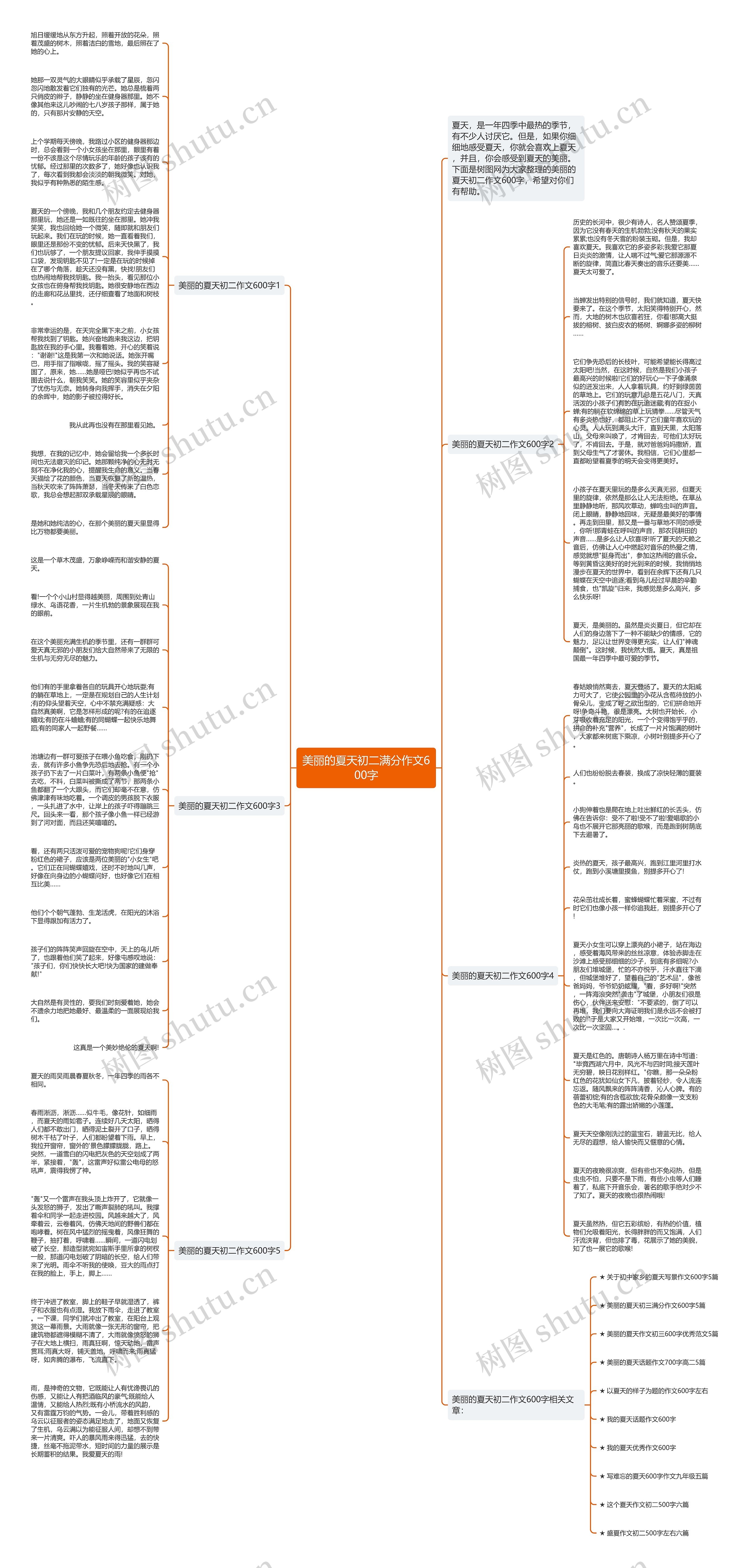 美丽的夏天初二满分作文600字思维导图