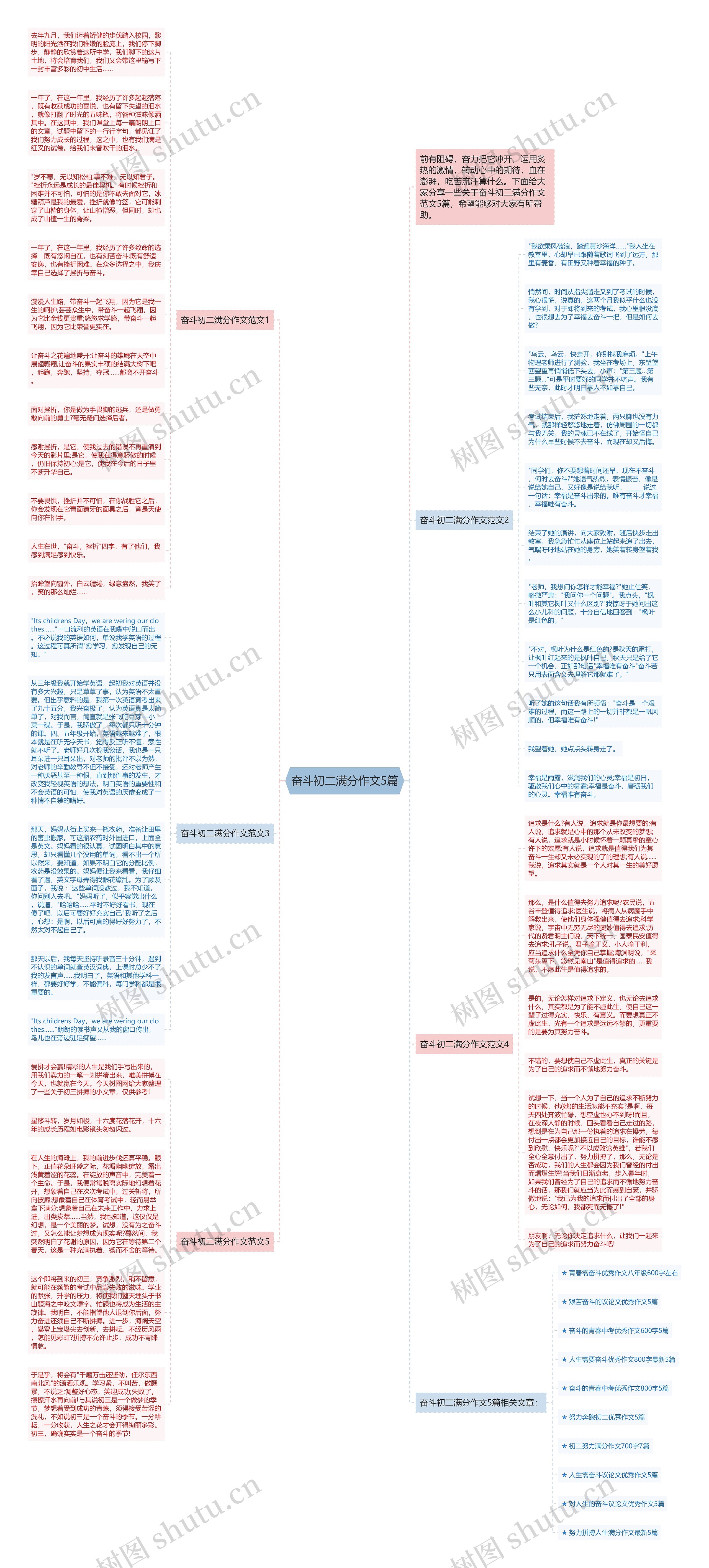 奋斗初二满分作文5篇思维导图