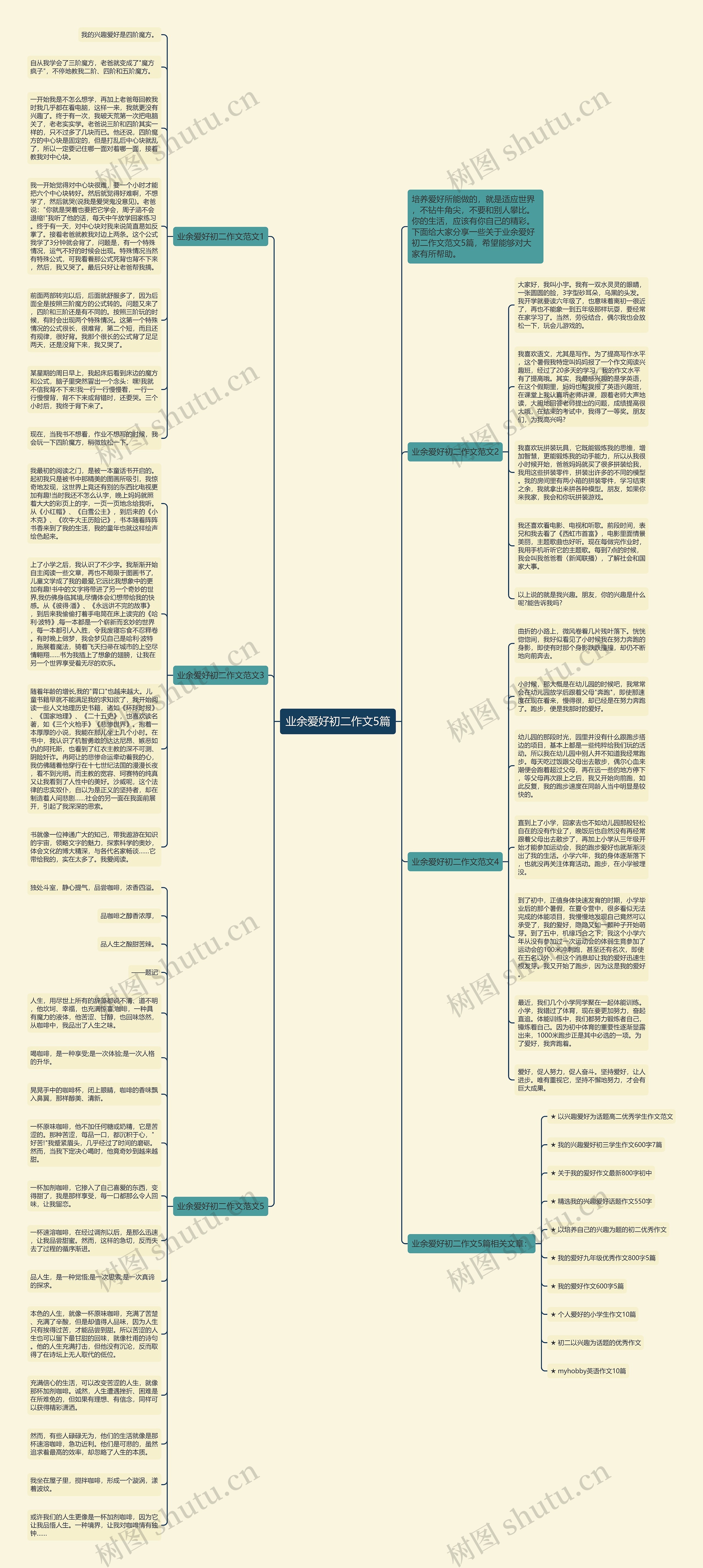 业余爱好初二作文5篇思维导图