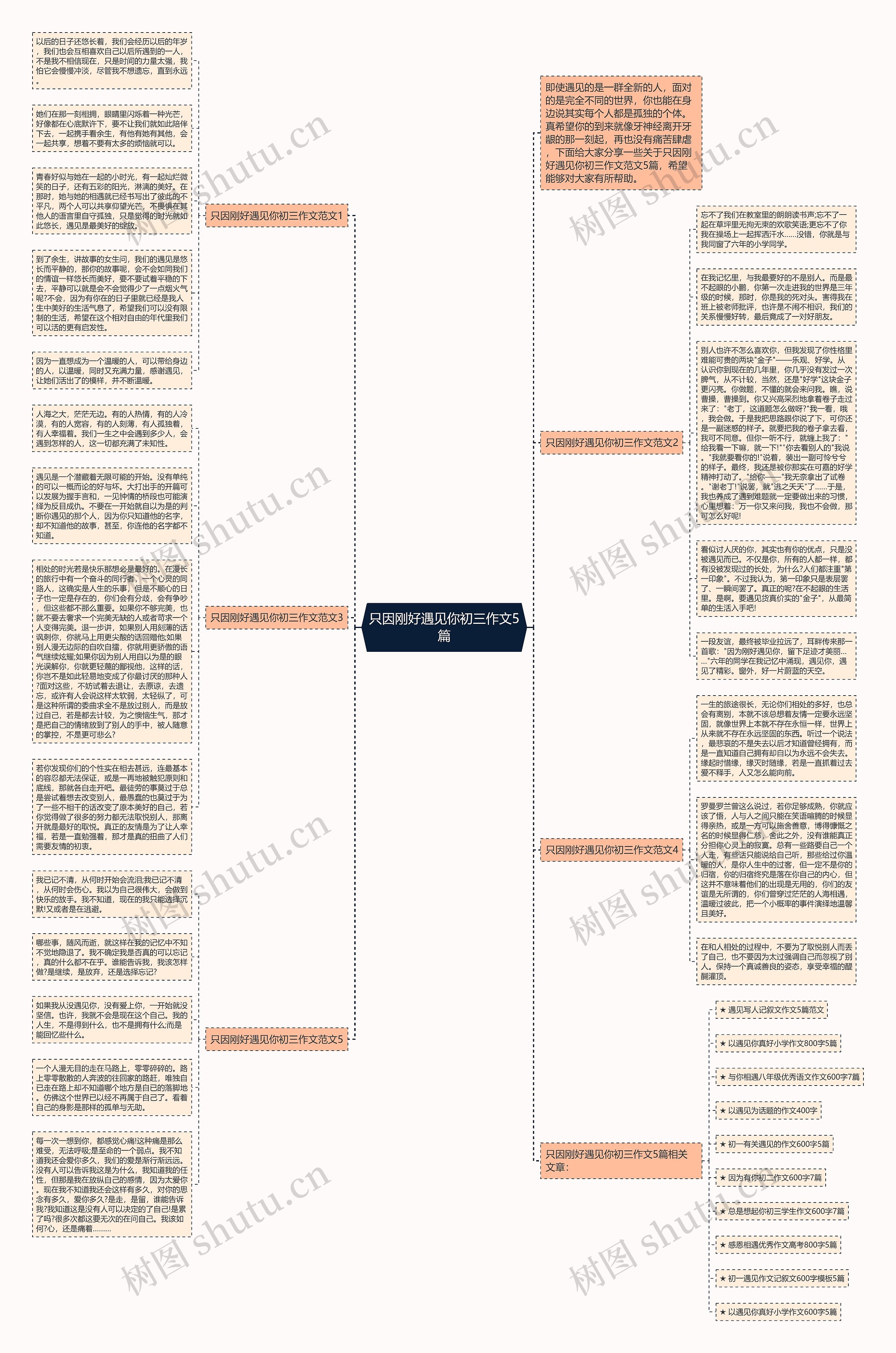 只因刚好遇见你初三作文5篇思维导图