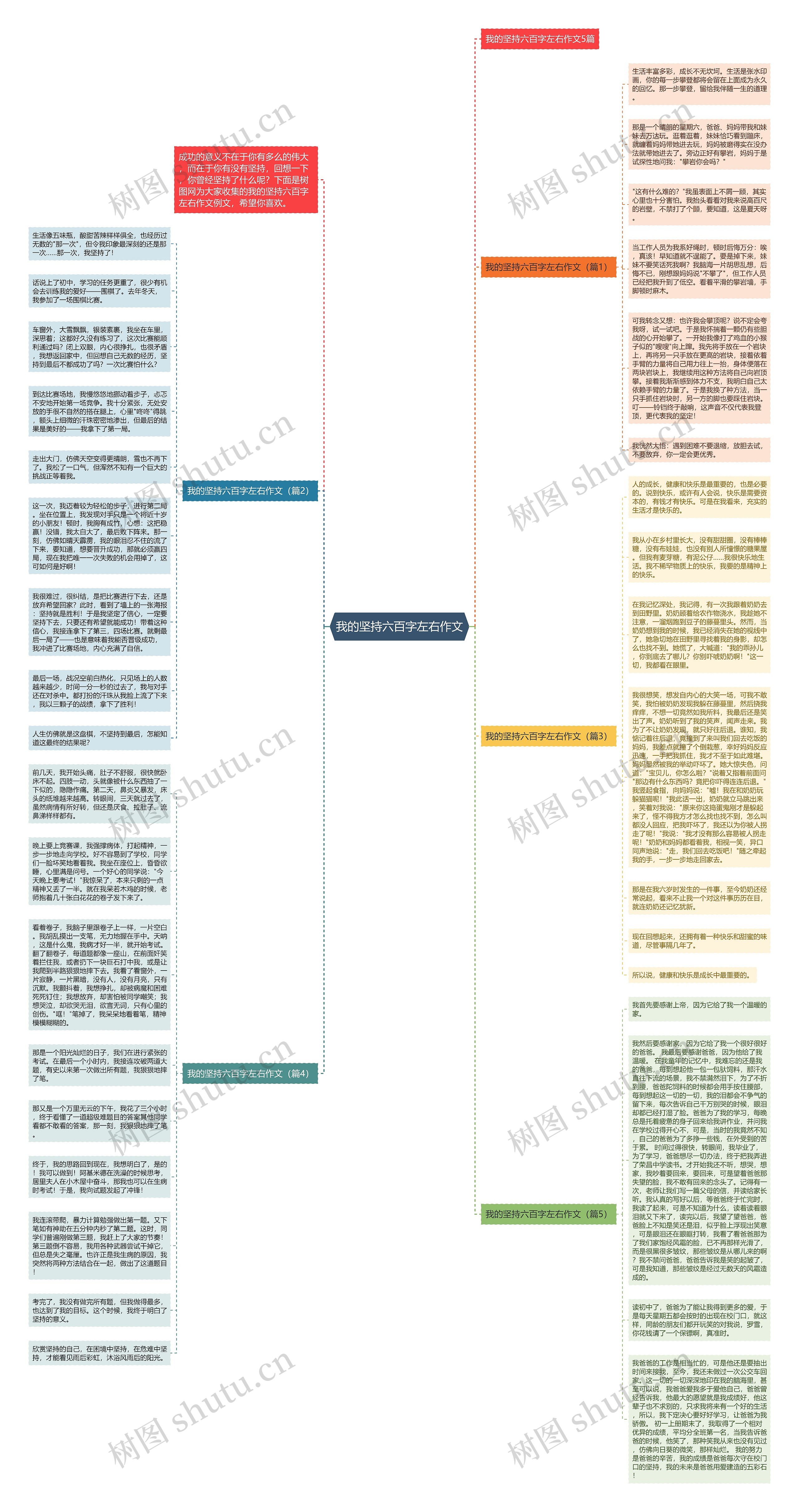 我的坚持六百字左右作文思维导图