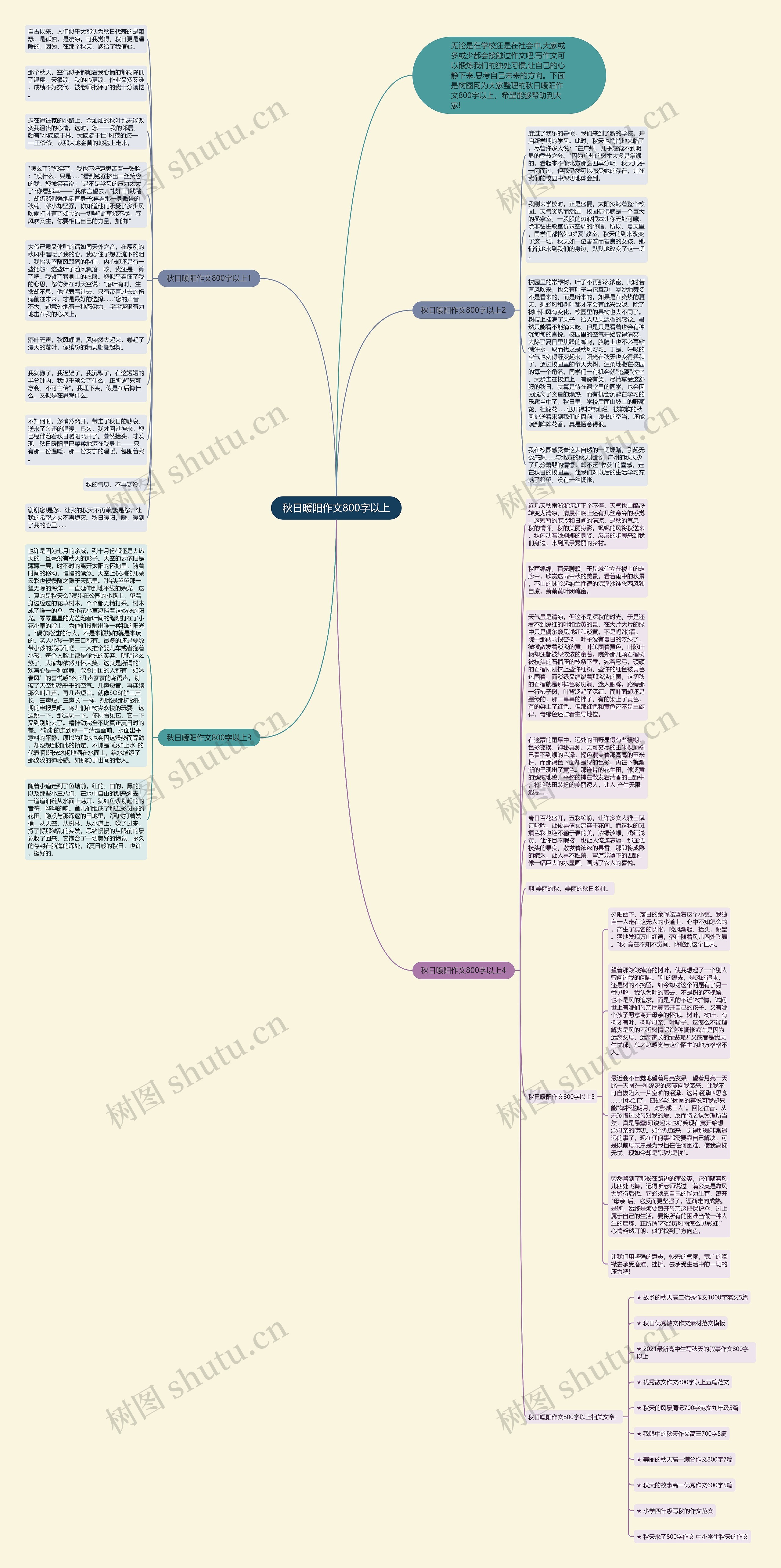 秋日暖阳作文800字以上思维导图