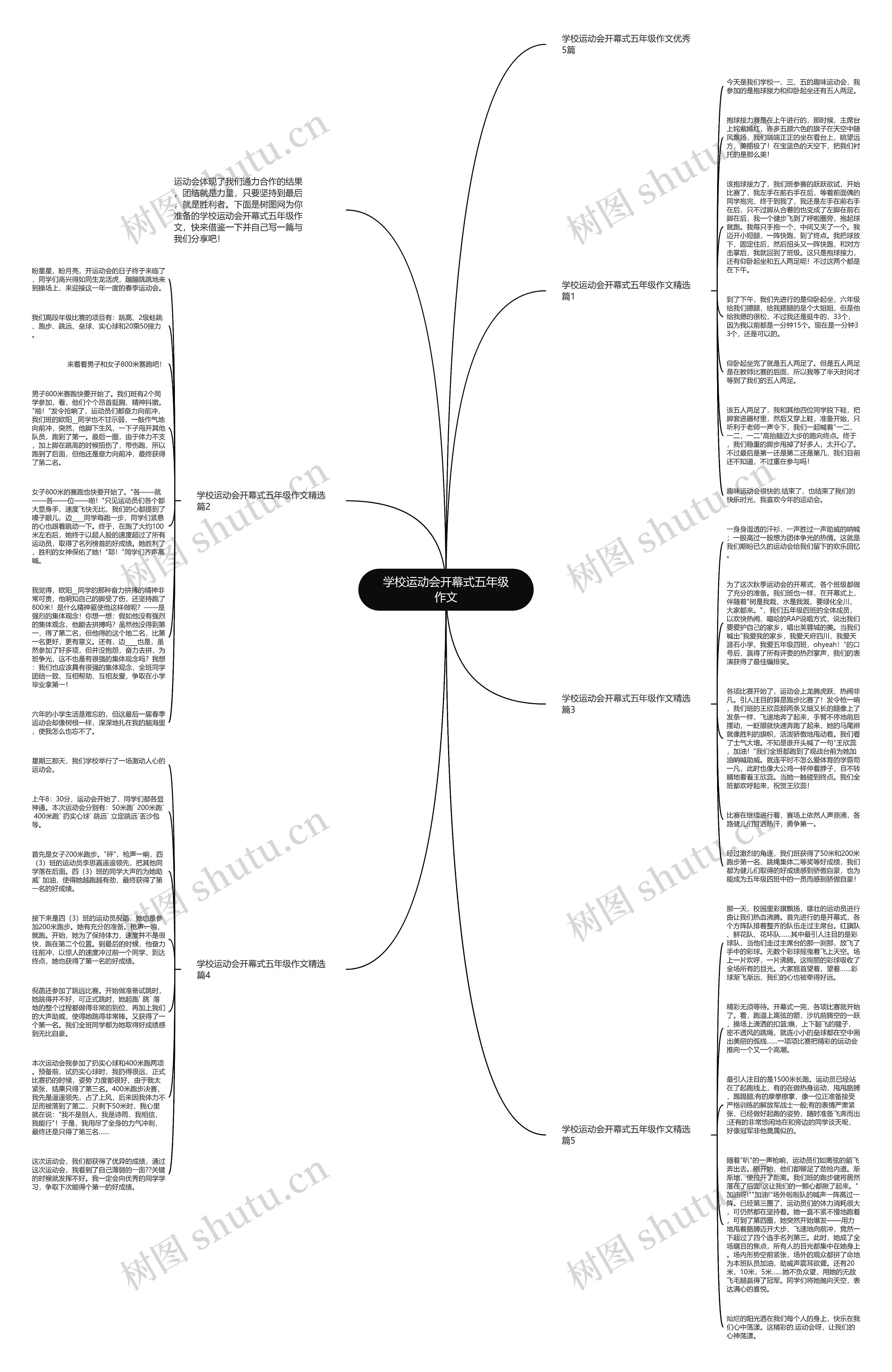 学校运动会开幕式五年级作文思维导图