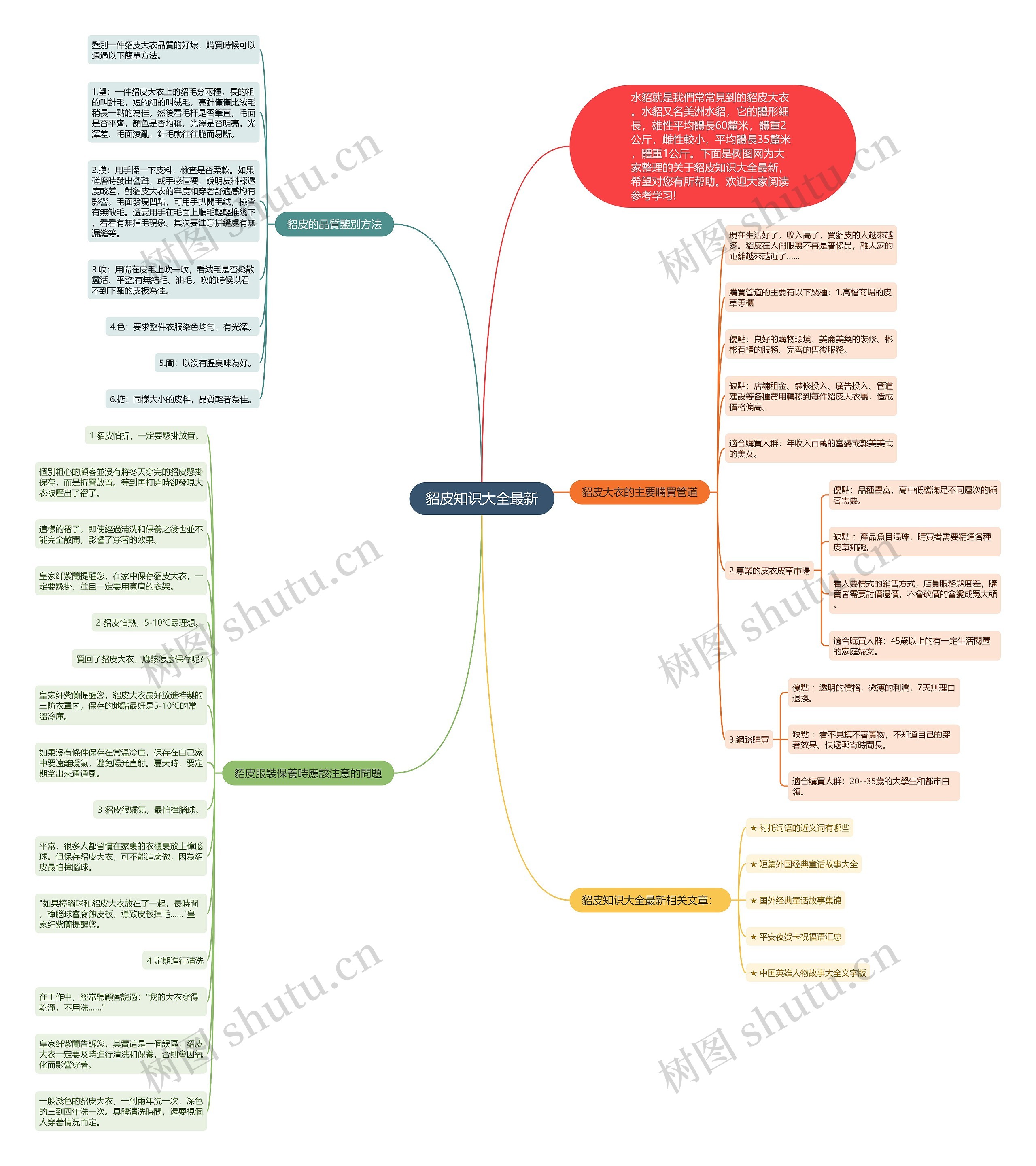 貂皮知识大全最新思维导图