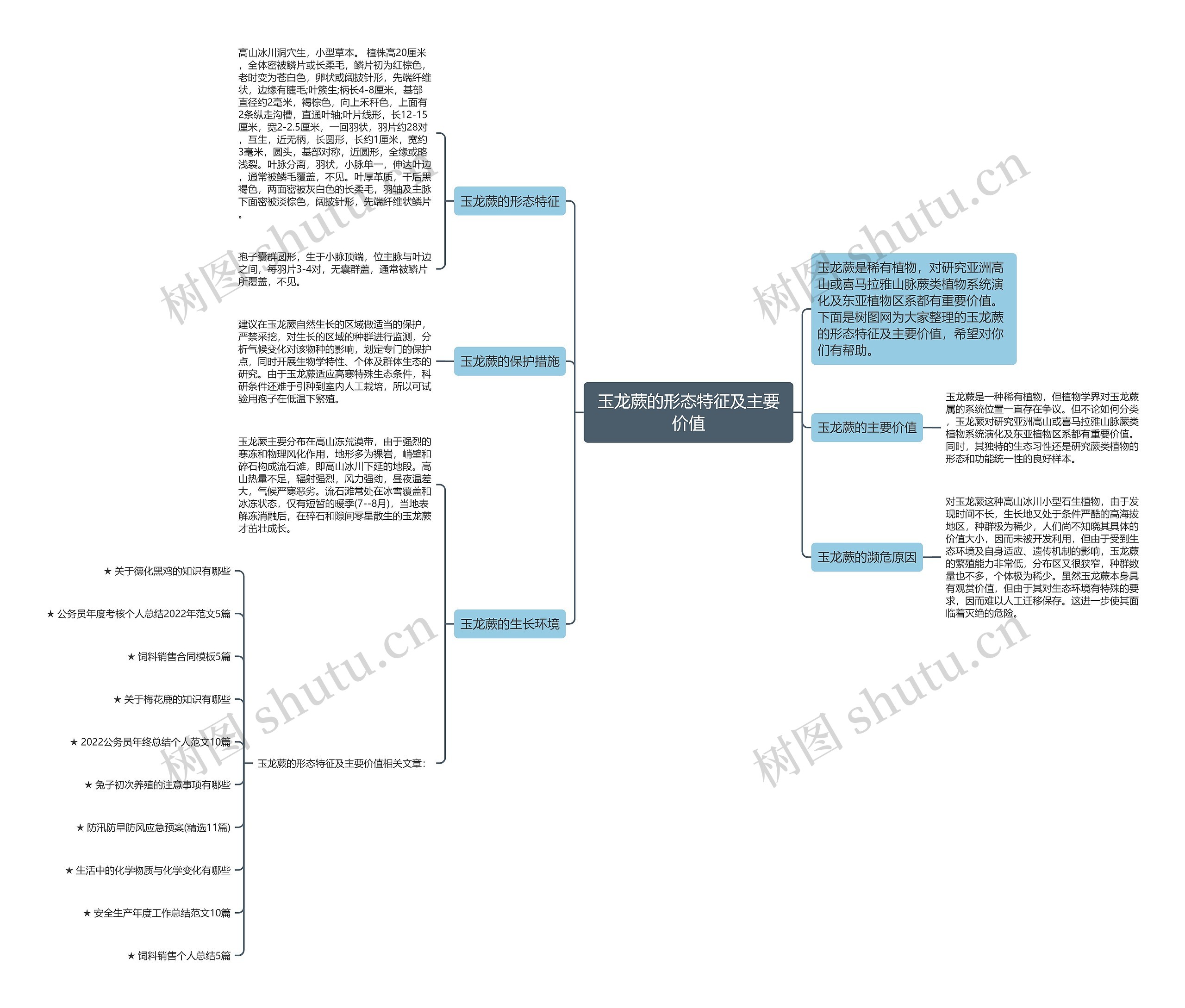 玉龙蕨的形态特征及主要价值思维导图