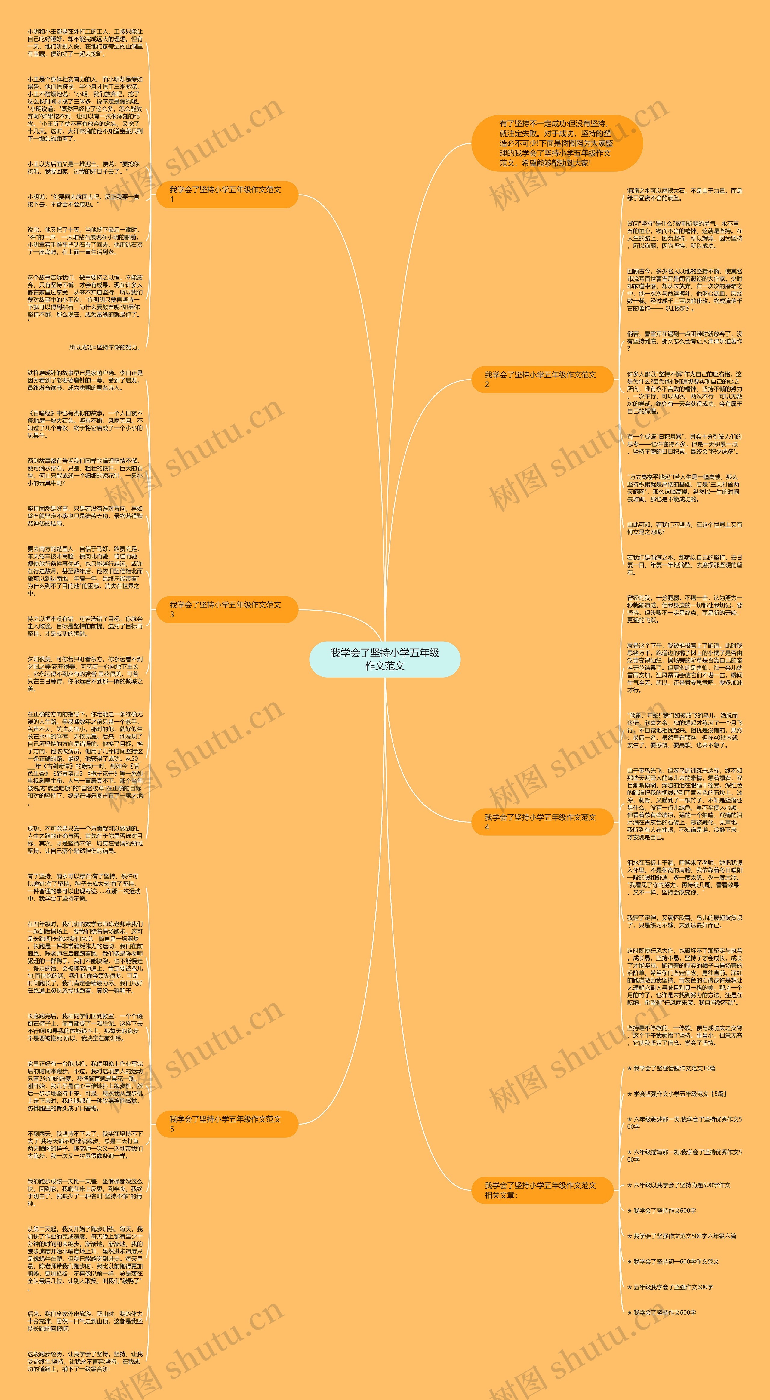 我学会了坚持小学五年级作文范文思维导图