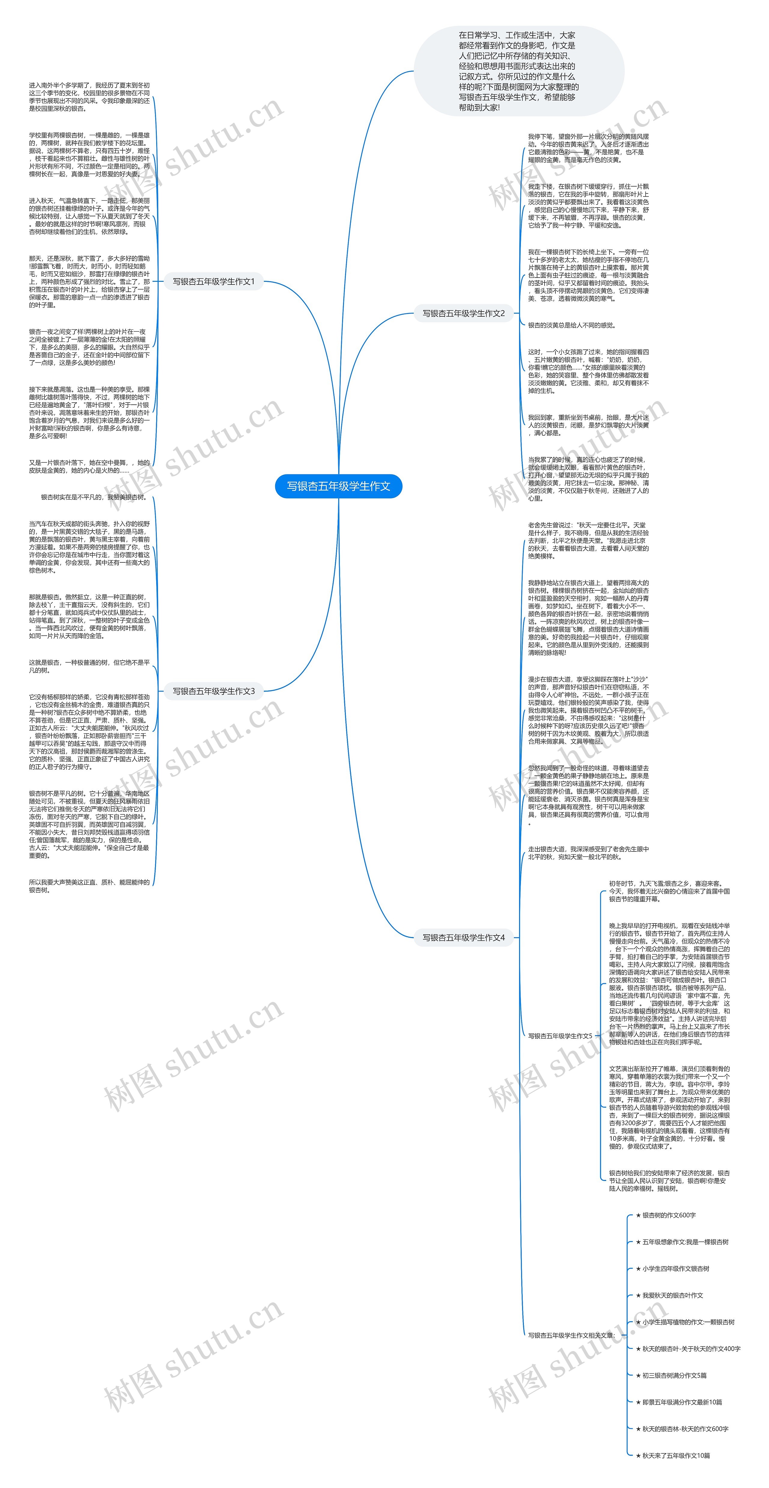 写银杏五年级学生作文思维导图