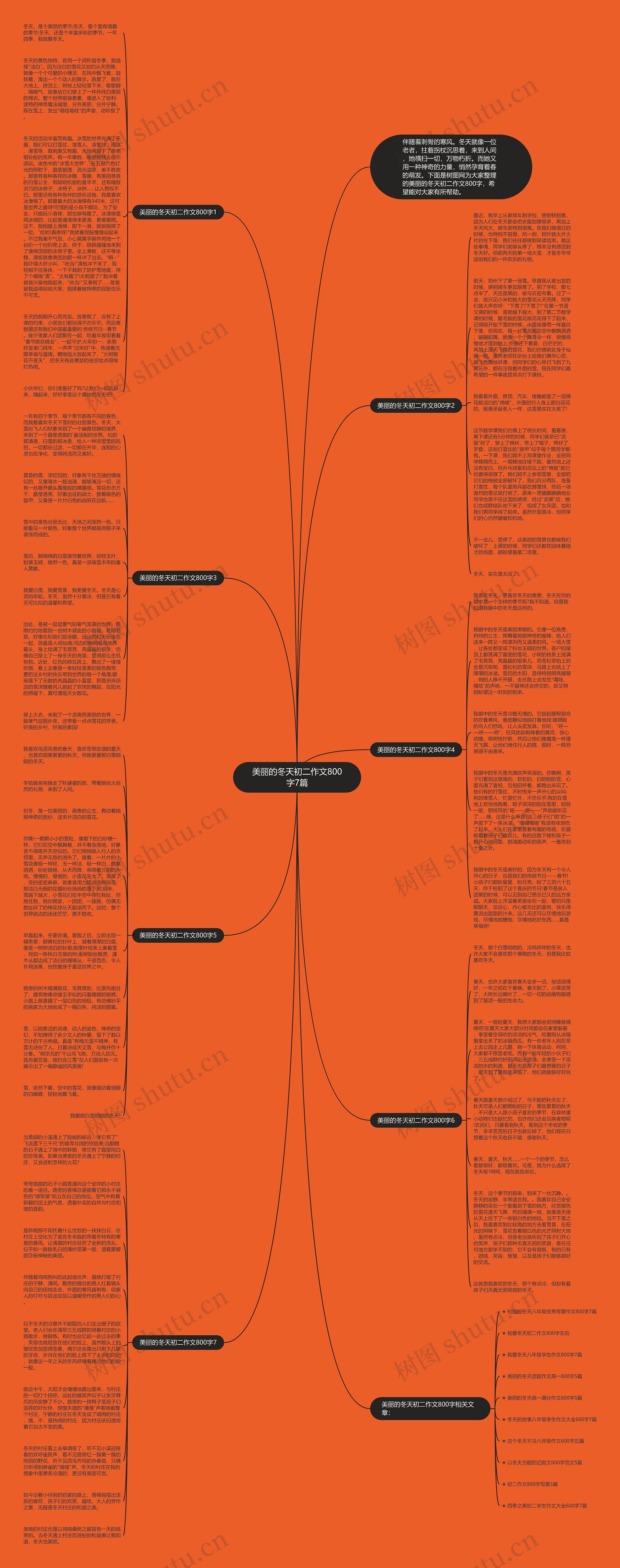 美丽的冬天初二作文800字7篇