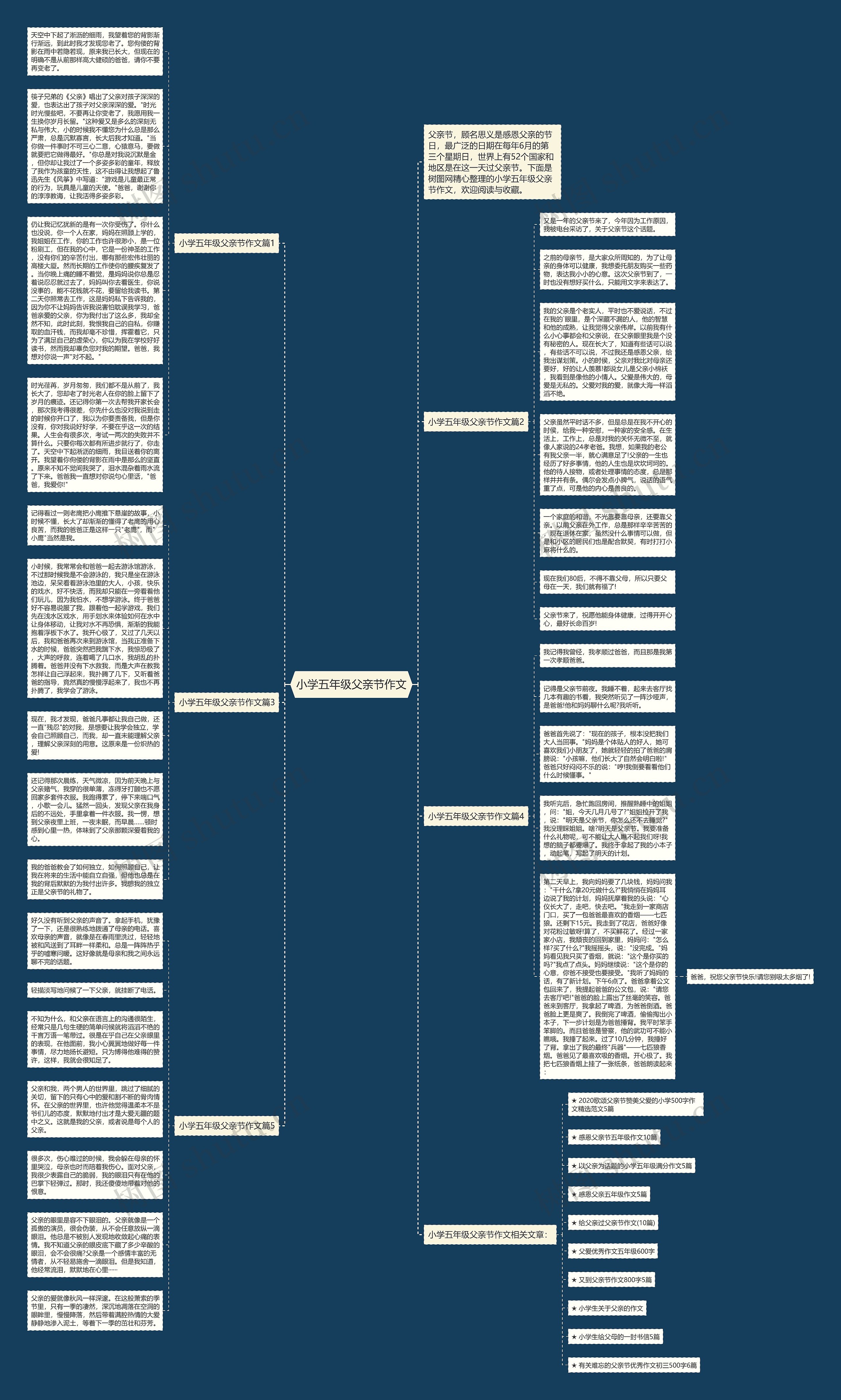 小学五年级父亲节作文思维导图