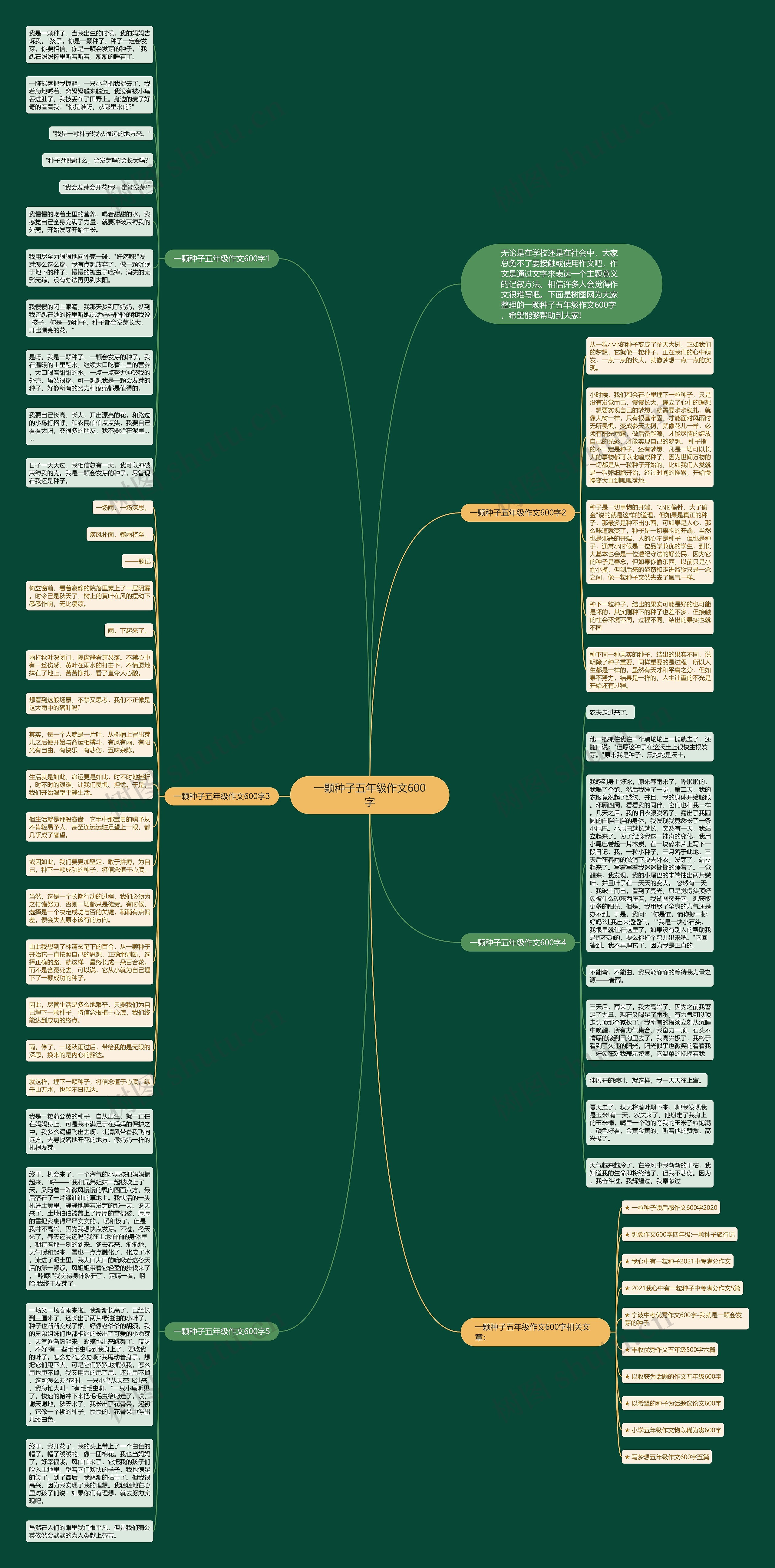 一颗种子五年级作文600字思维导图