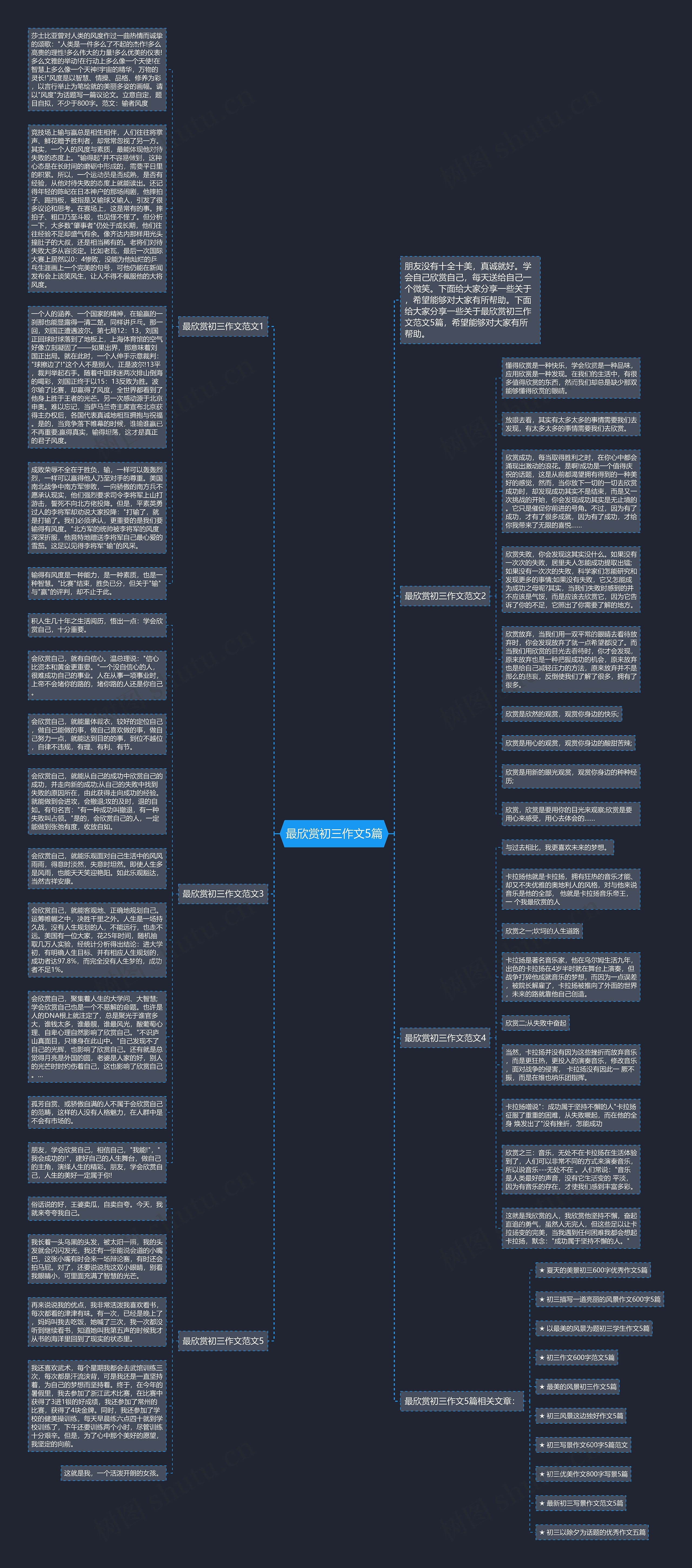 最欣赏初三作文5篇思维导图