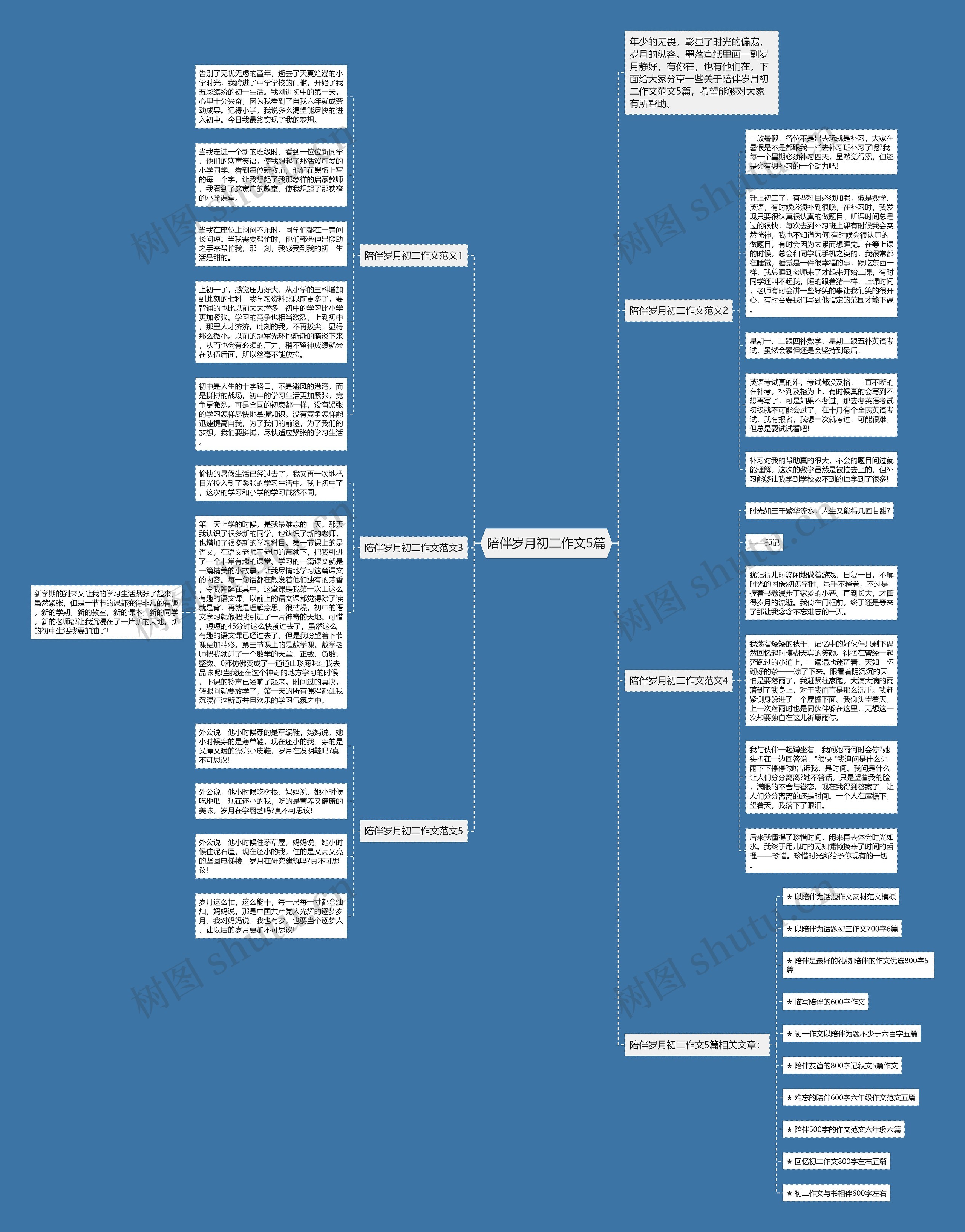 陪伴岁月初二作文5篇思维导图