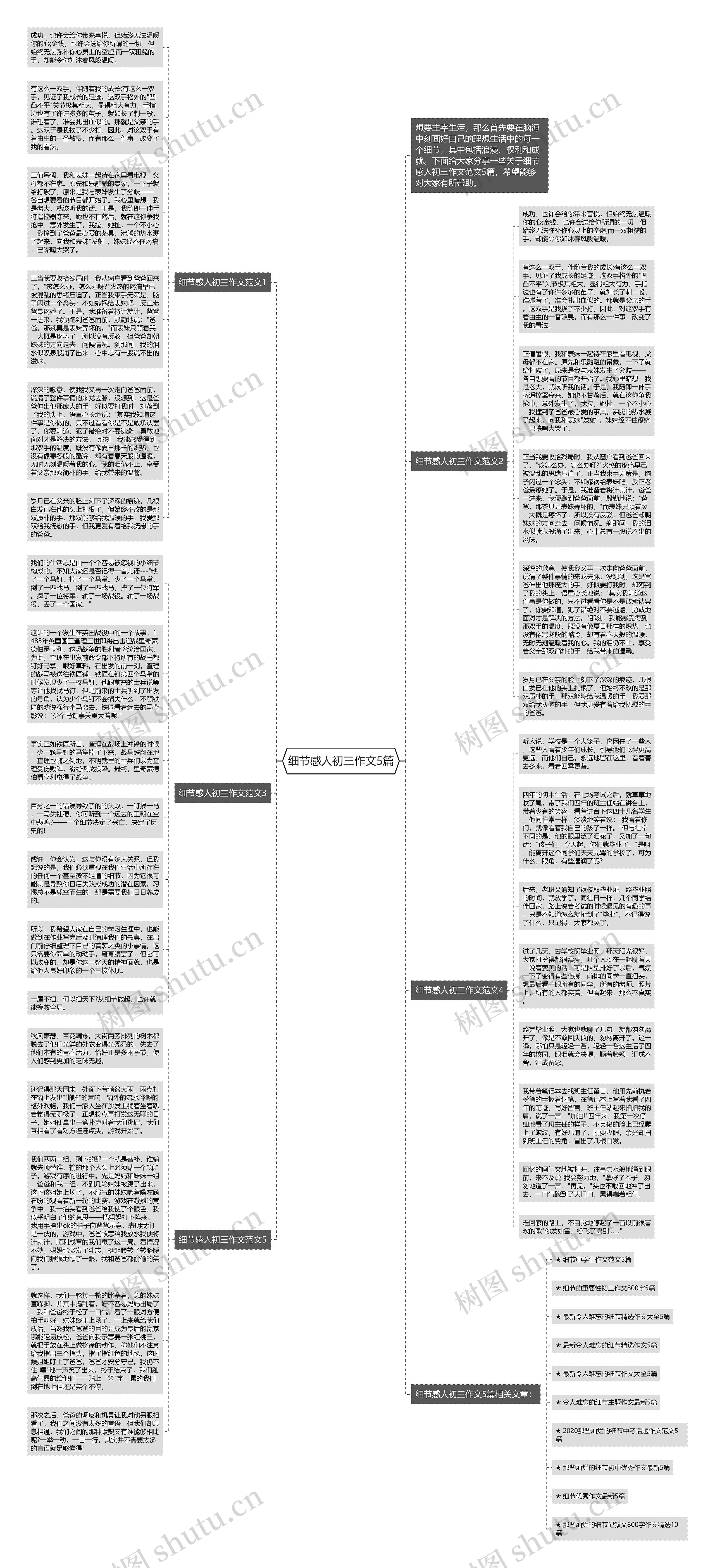 细节感人初三作文5篇思维导图