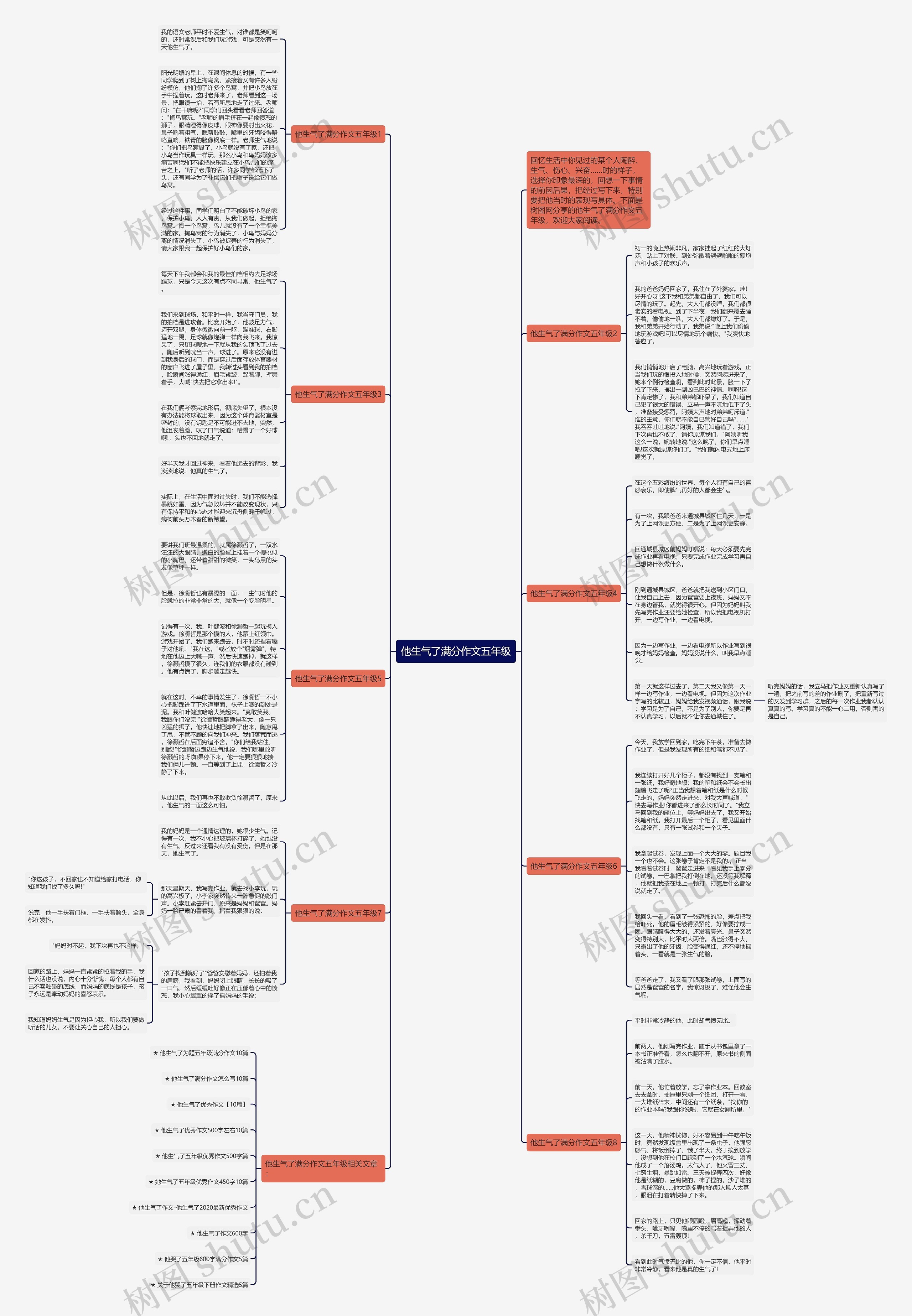 他生气了满分作文五年级思维导图