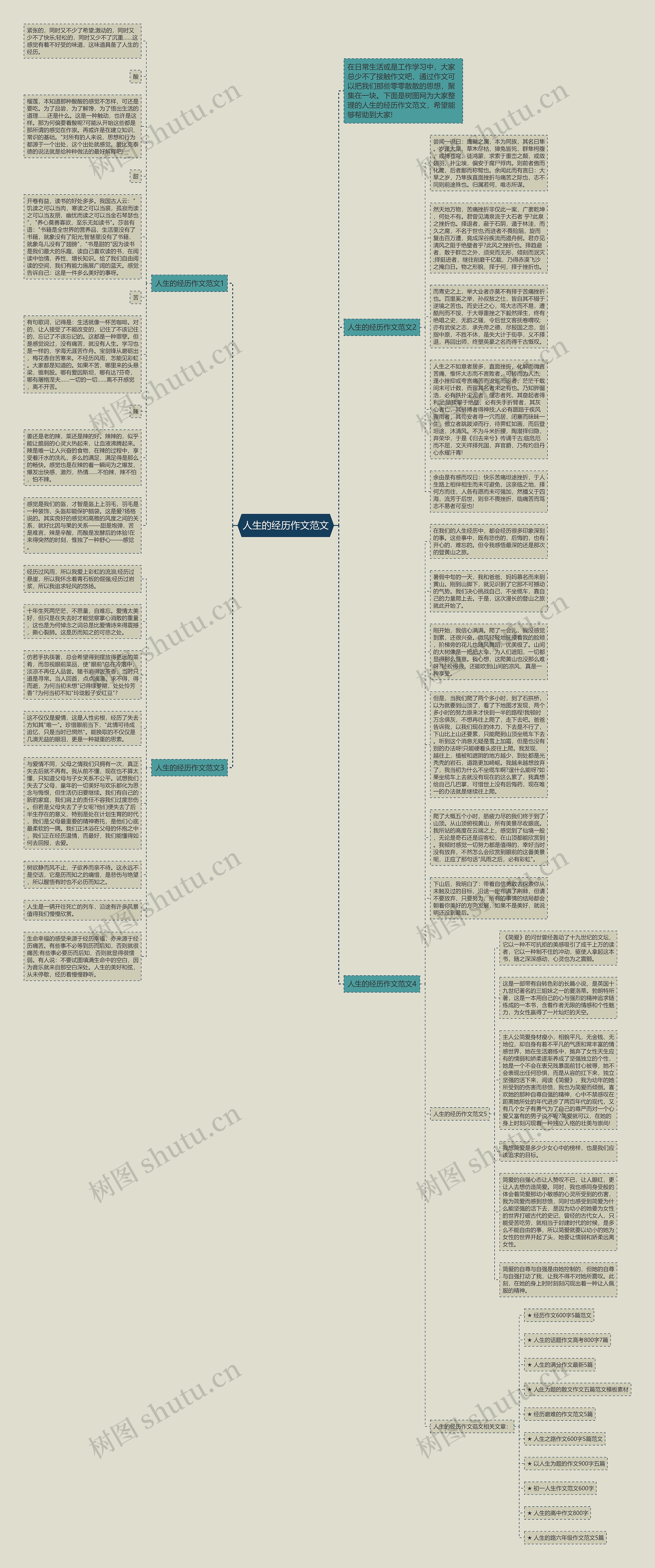 人生的经历作文范文思维导图