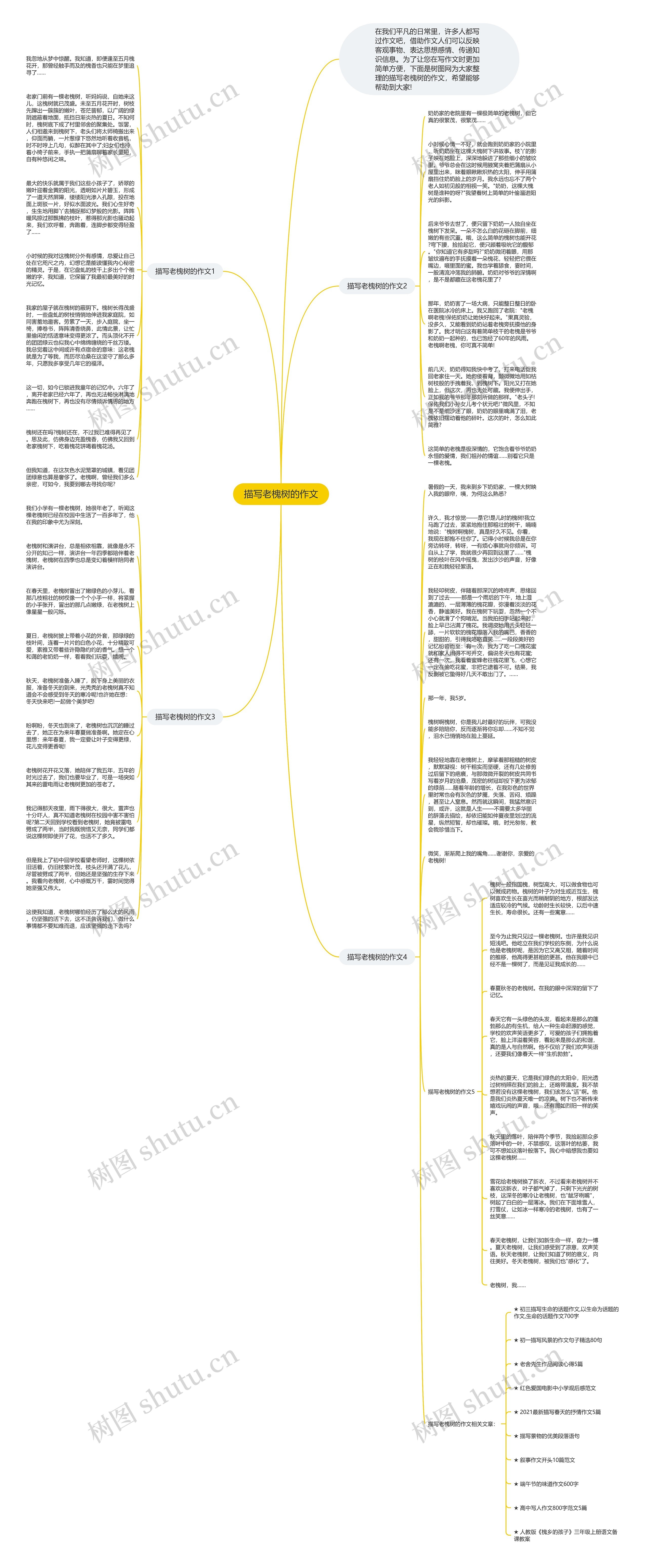 描写老槐树的作文思维导图