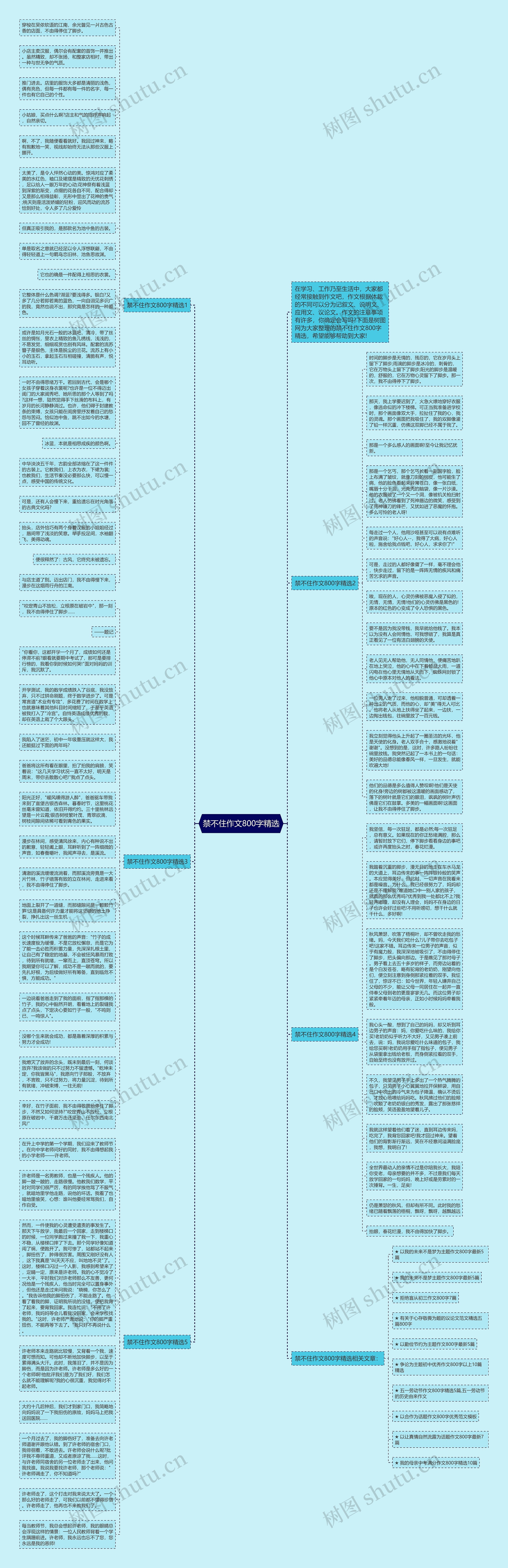 禁不住作文800字精选思维导图