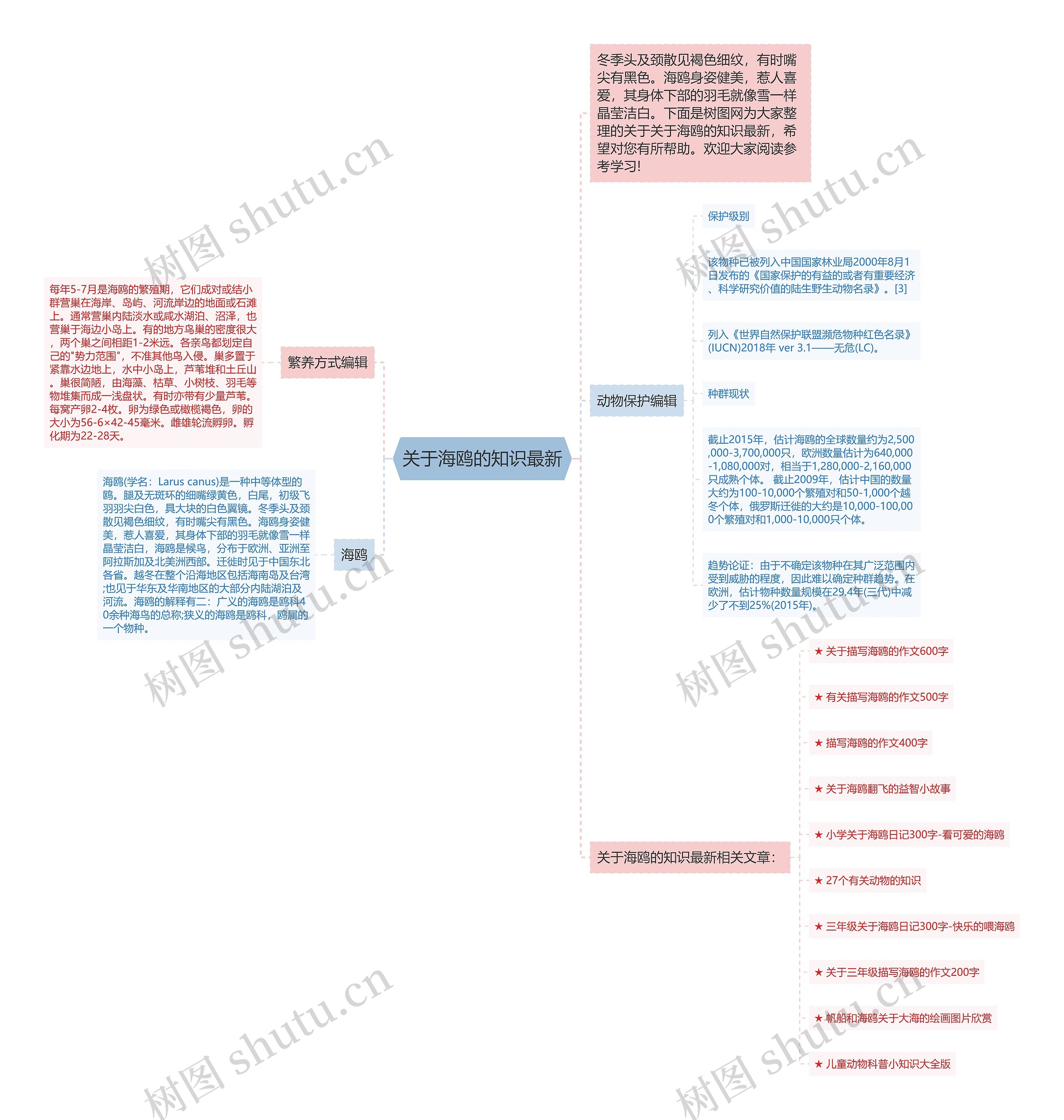 关于海鸥的知识最新思维导图