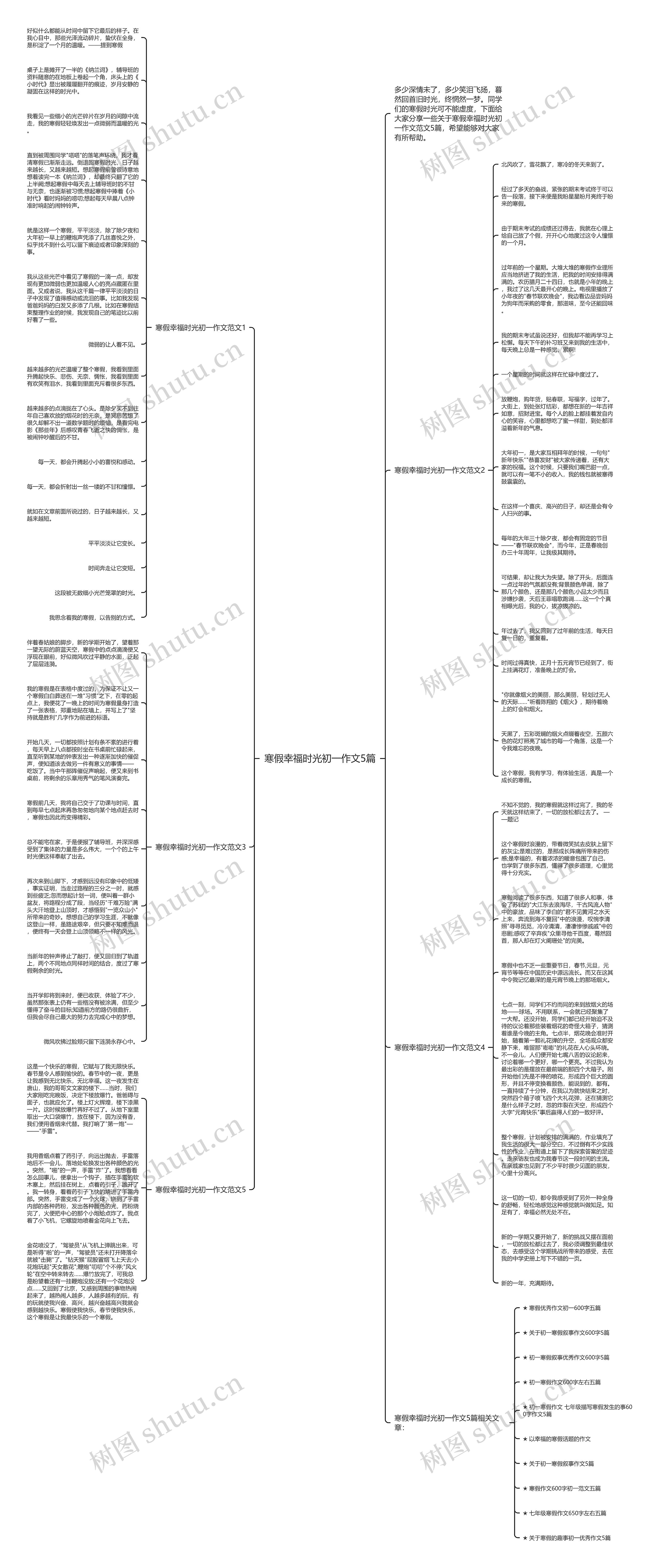 寒假幸福时光初一作文5篇思维导图