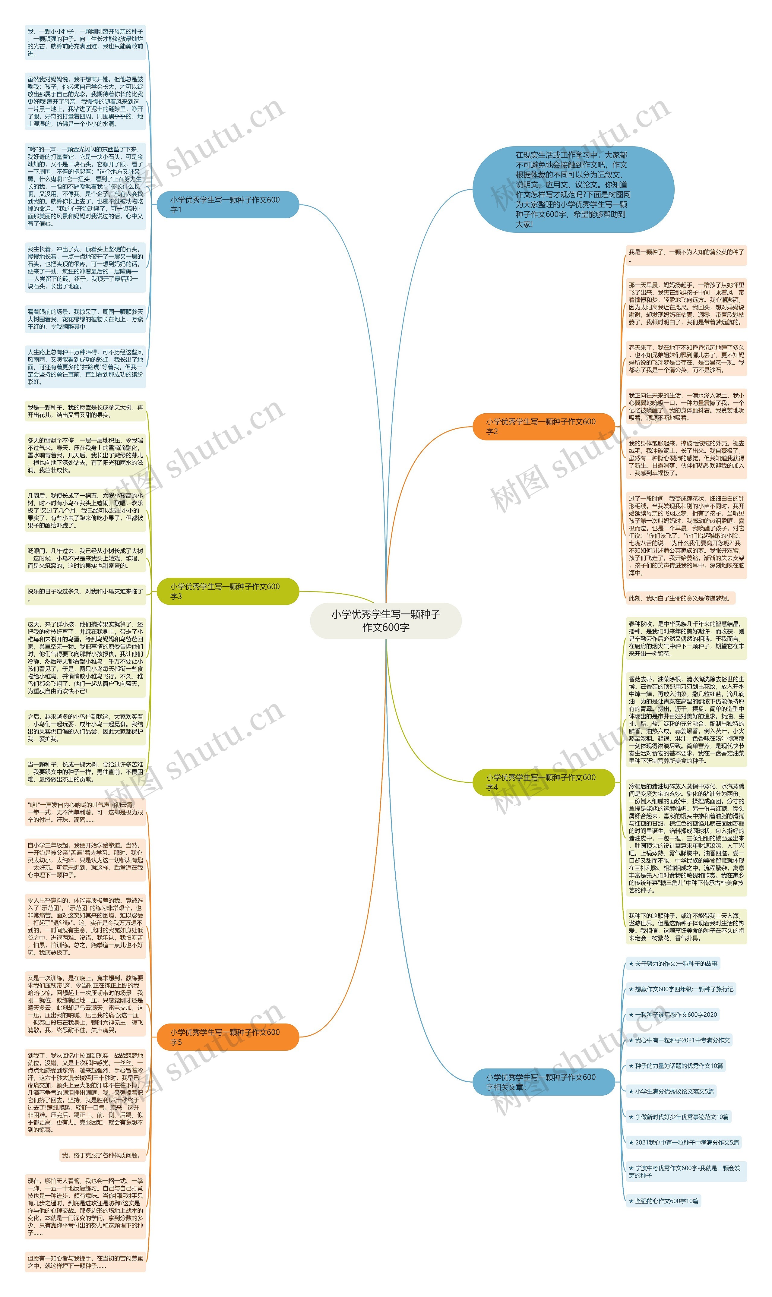 小学优秀学生写一颗种子作文600字思维导图