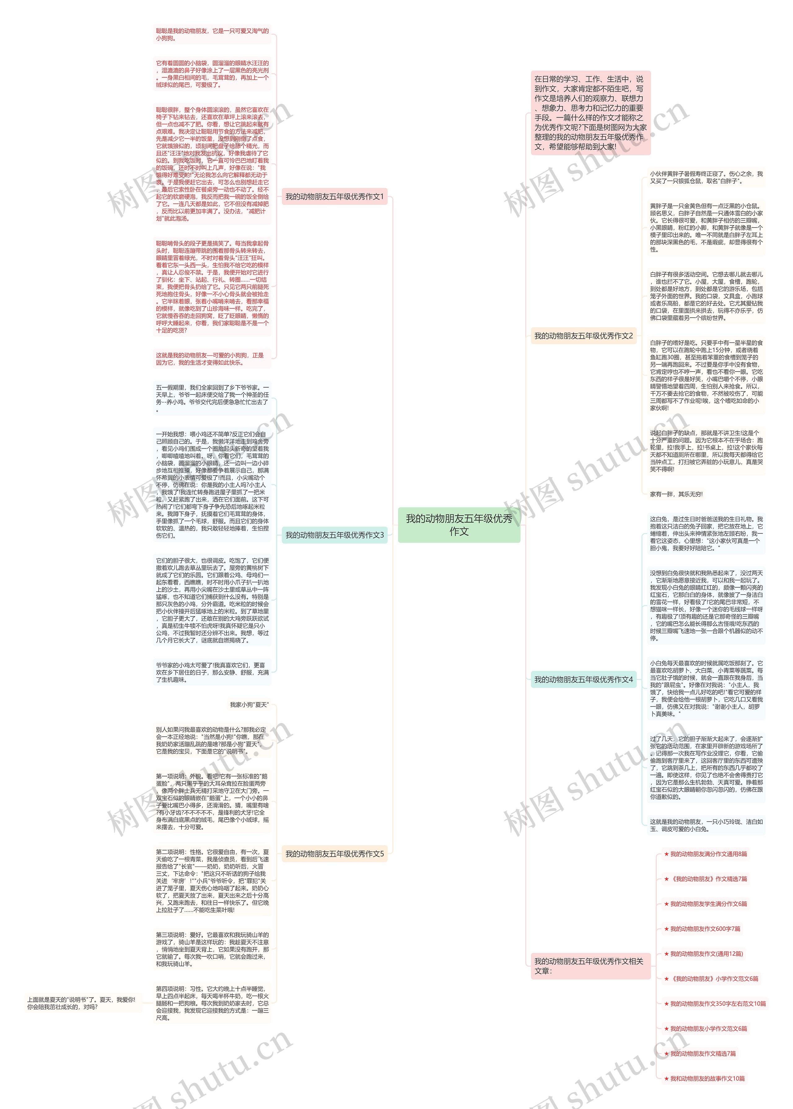 我的动物朋友五年级优秀作文思维导图