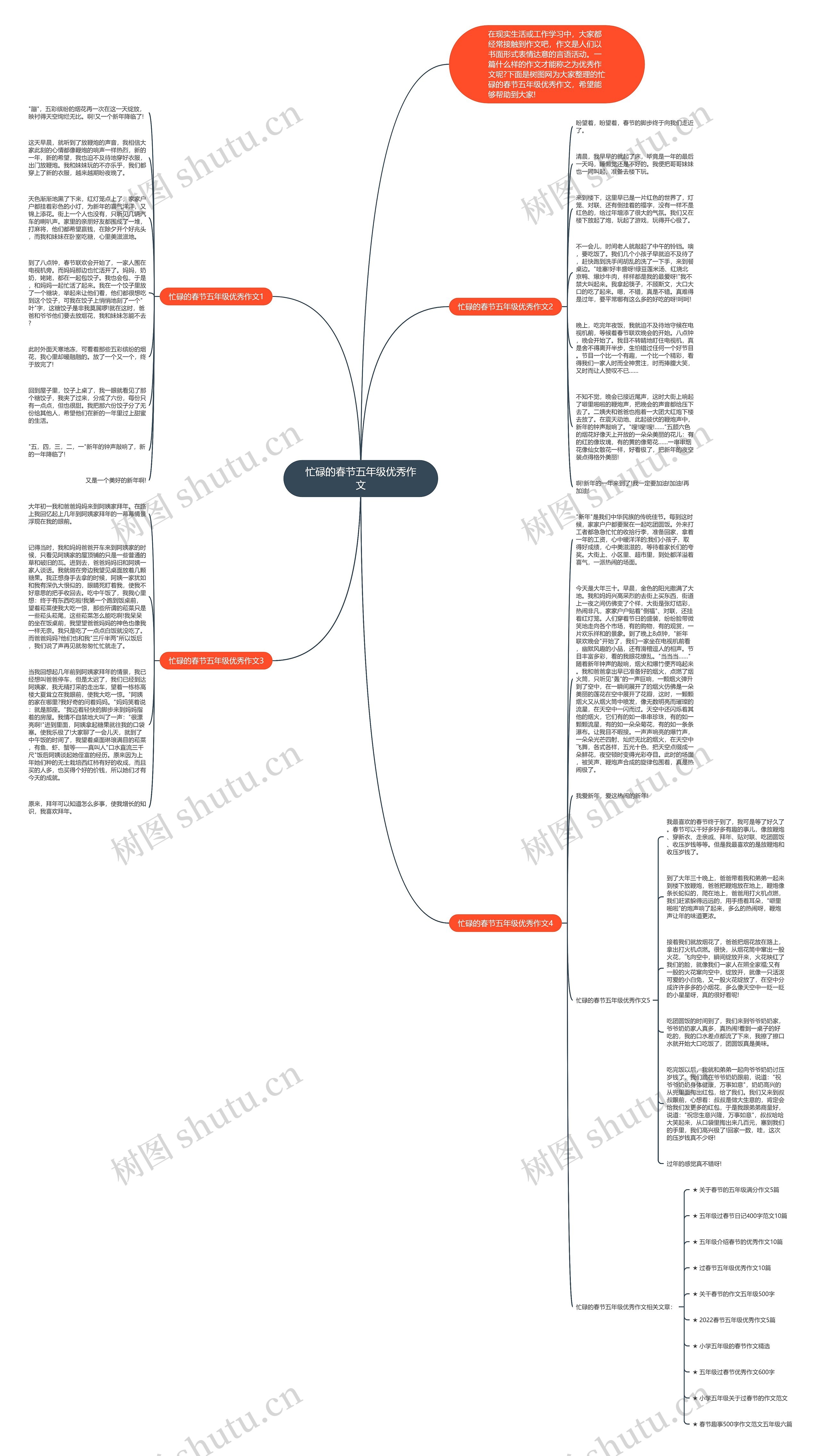 忙碌的春节五年级优秀作文思维导图