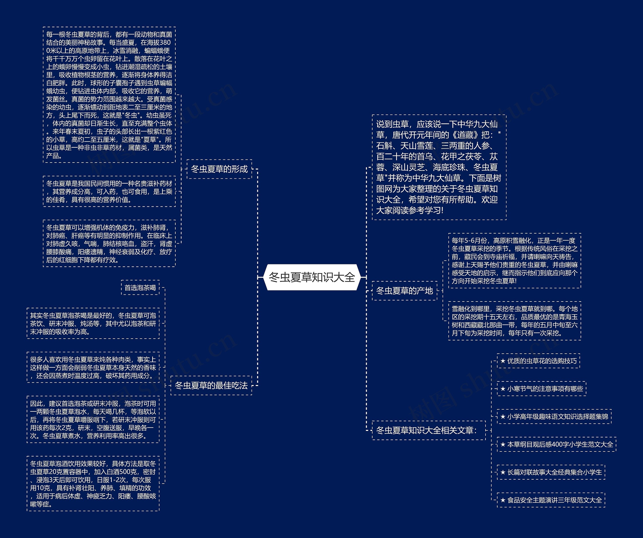冬虫夏草知识大全思维导图