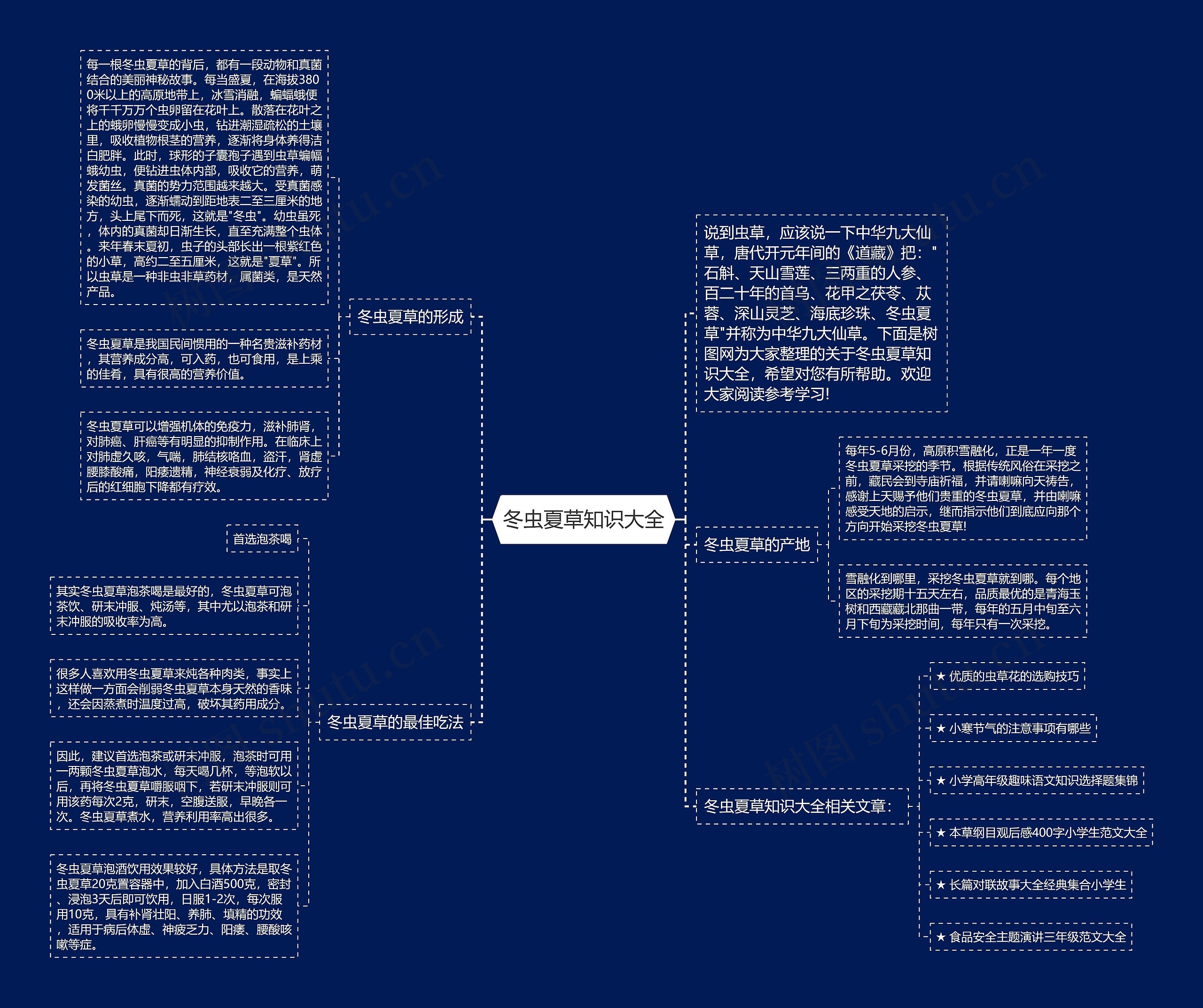 冬虫夏草知识大全思维导图高清图 冬虫夏草知识大全思维导图