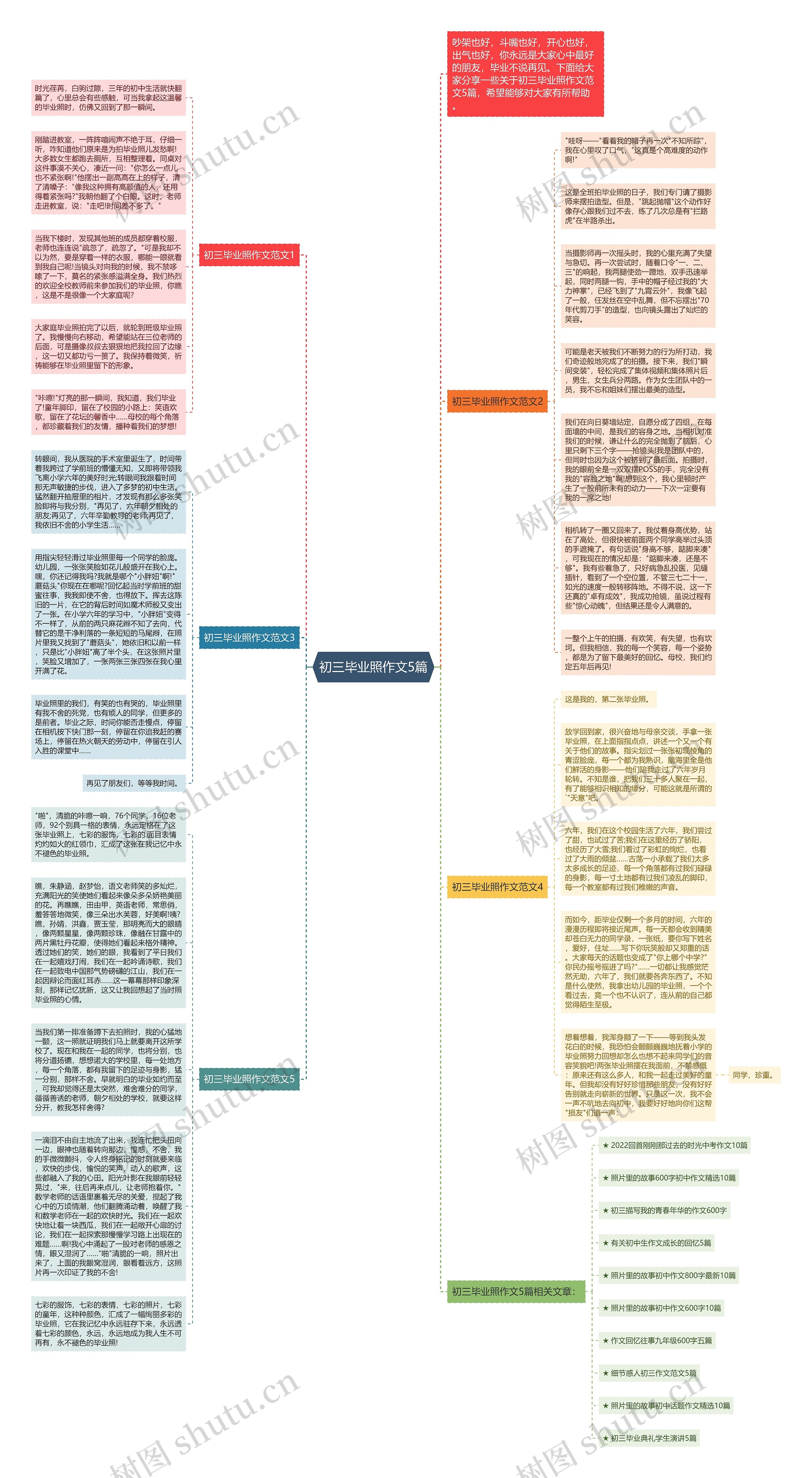 初三毕业照作文5篇思维导图