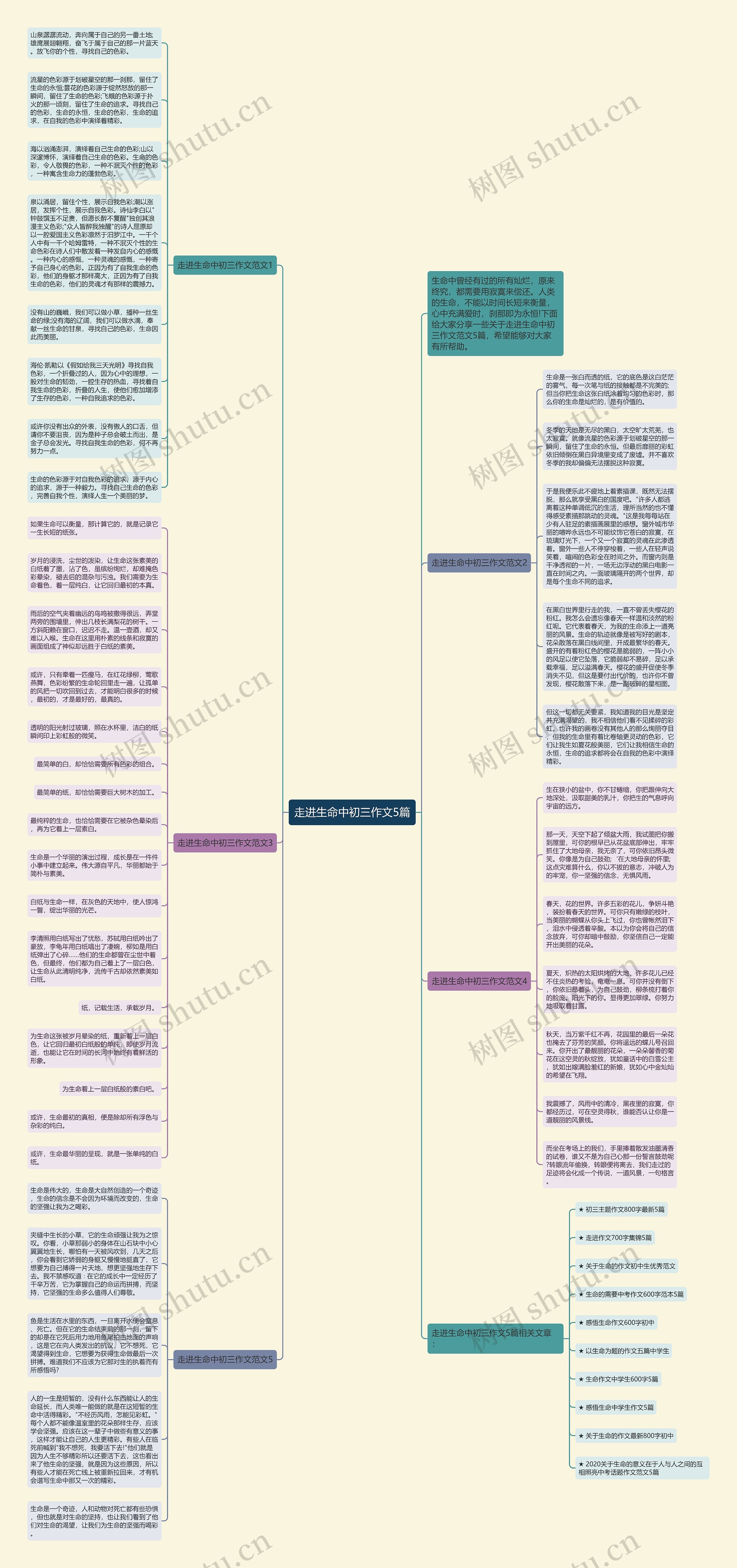 走进生命中初三作文5篇思维导图